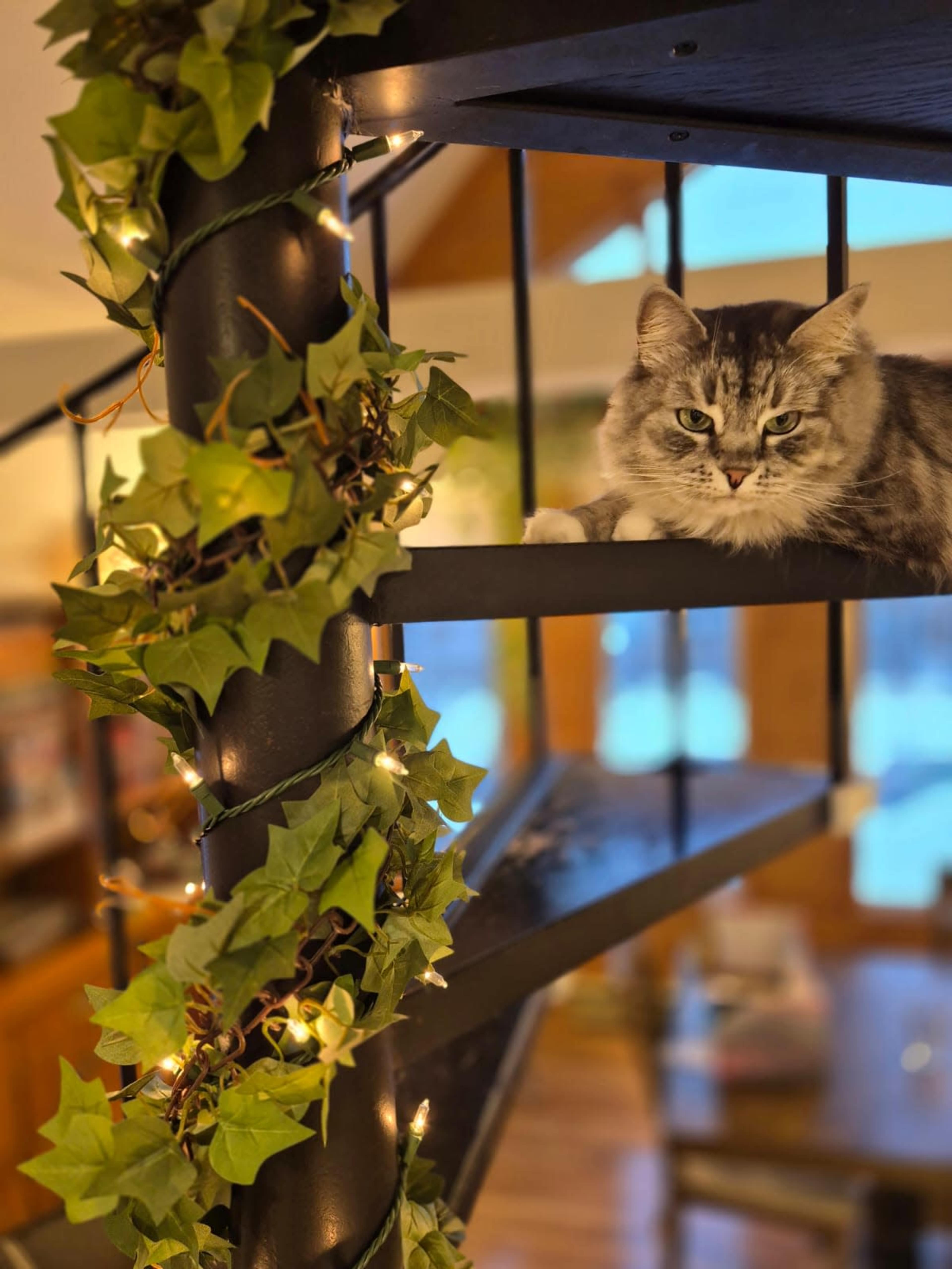 A gray cat lounges on a spiral staircase decorated with ivy and string lights.