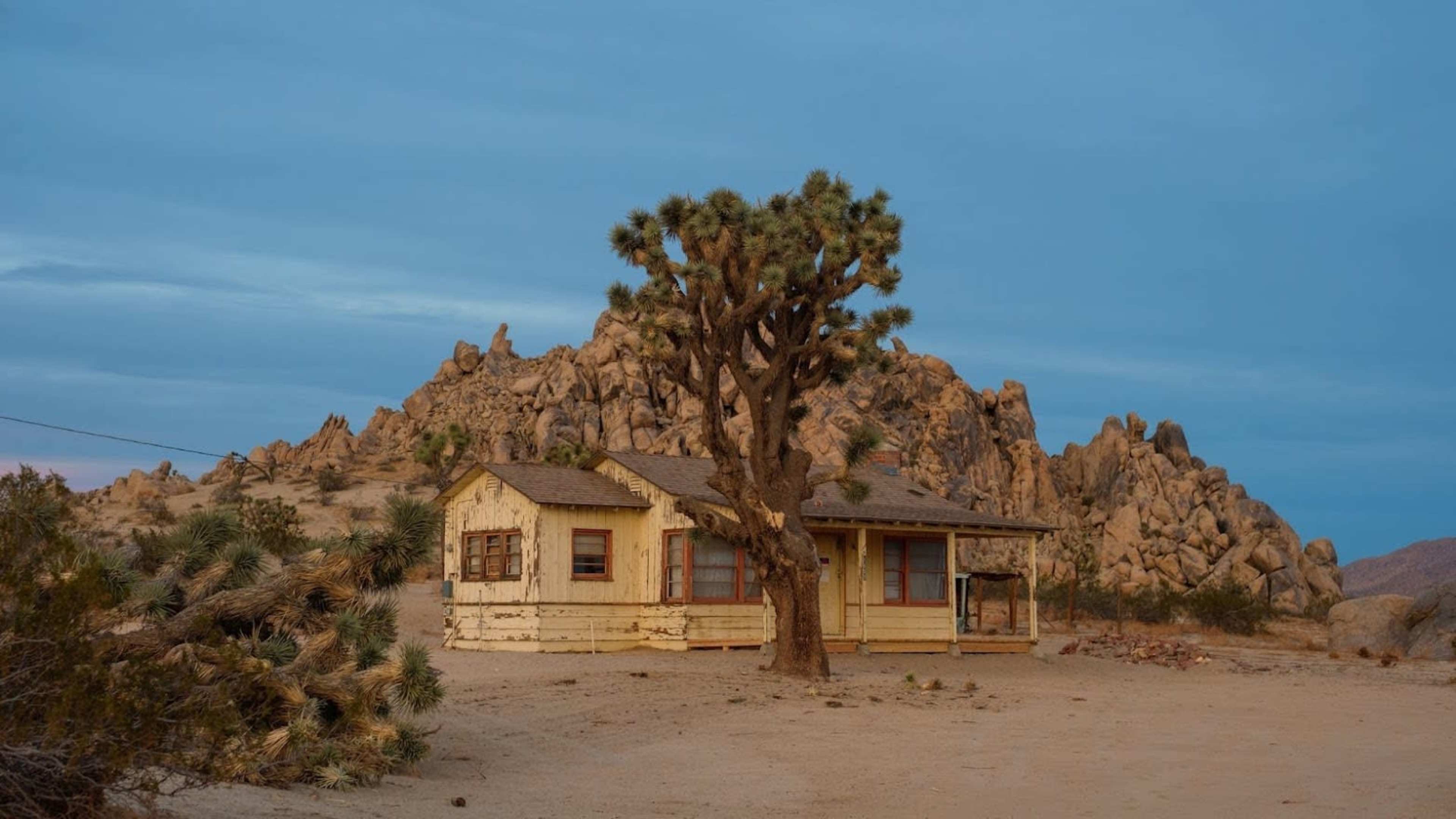 A weathered house stands beside a large Joshua tree and rocky outcrops under a cloudy sky.