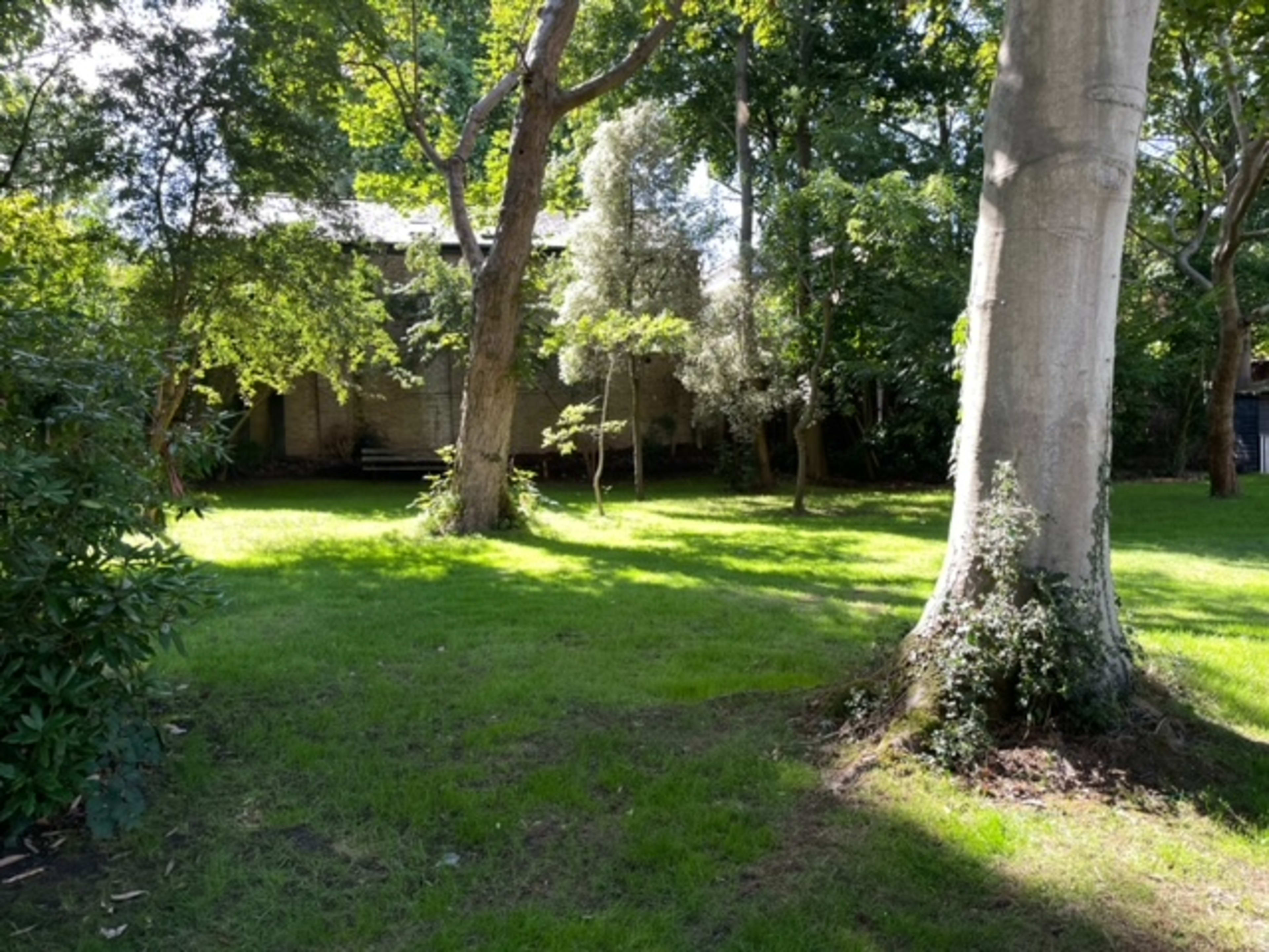 A green, grassy area with scattered trees and a building partially obscured by foliage in the background.
