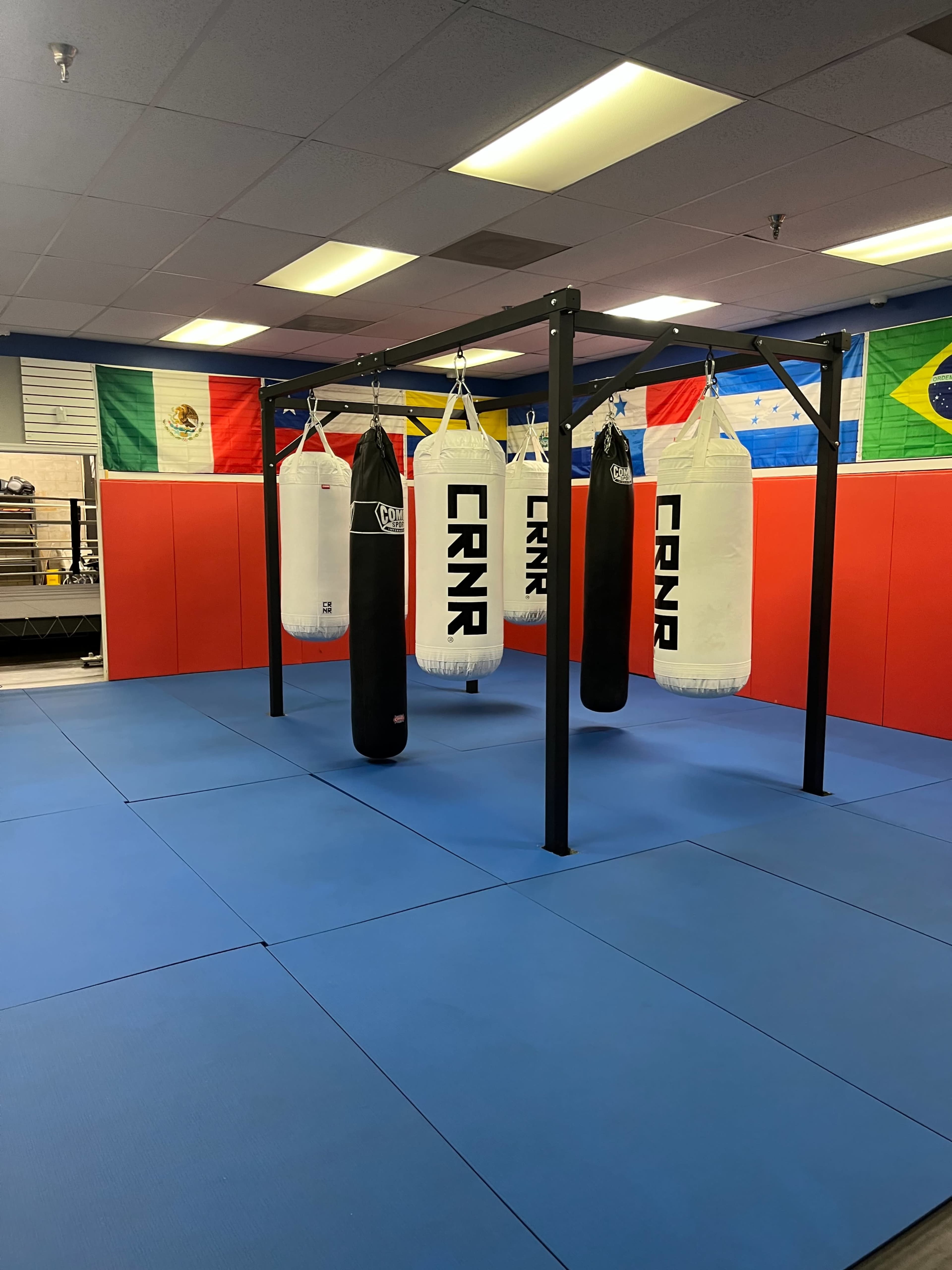 The image shows a fitness gym featuring multiple hanging punching bags on a black frame, surrounded by blue flooring and red wall panels.