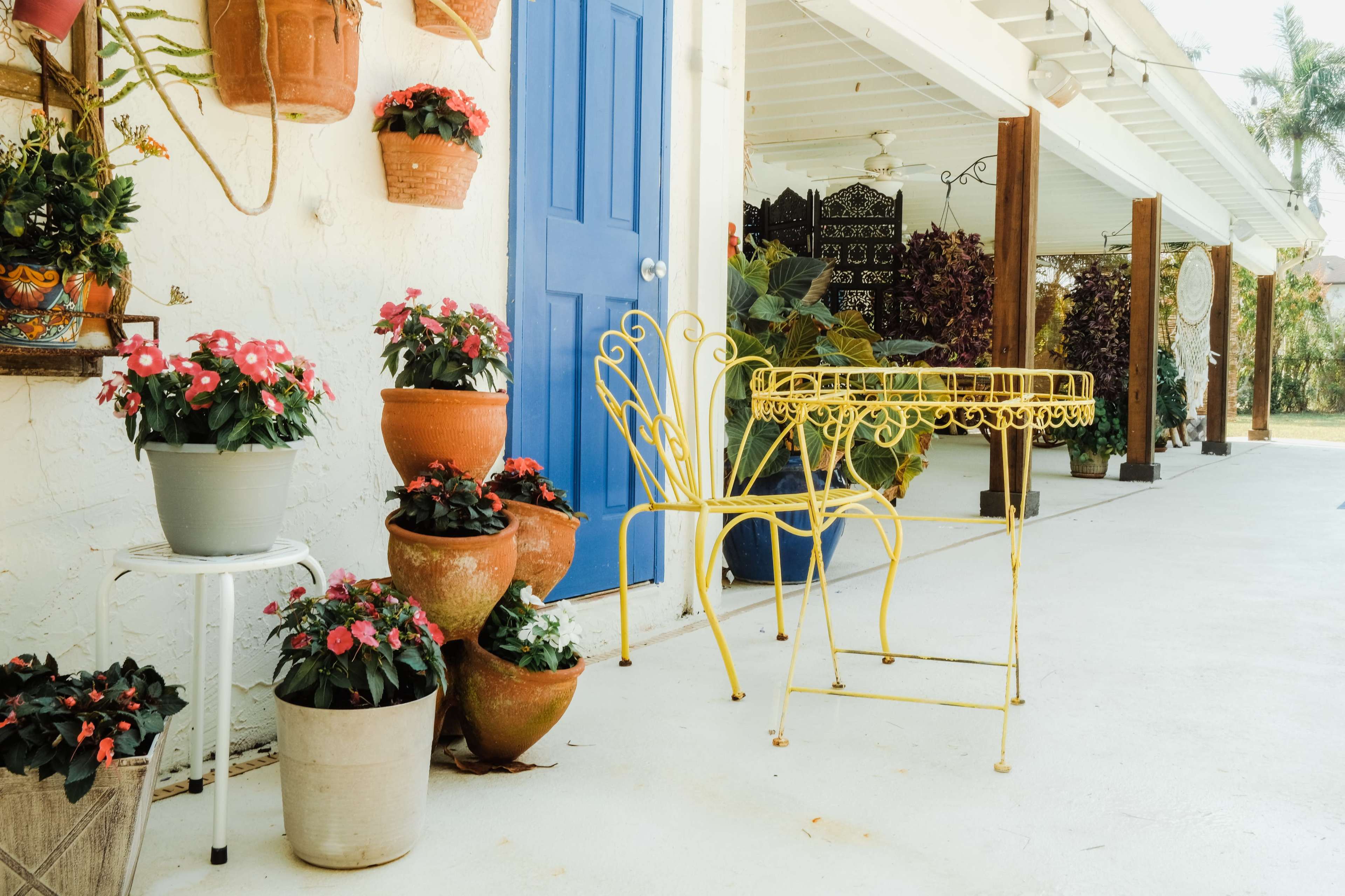 A yellow metal table and chair set is positioned beside potted plants with colorful flowers against a white wall and a blue door.