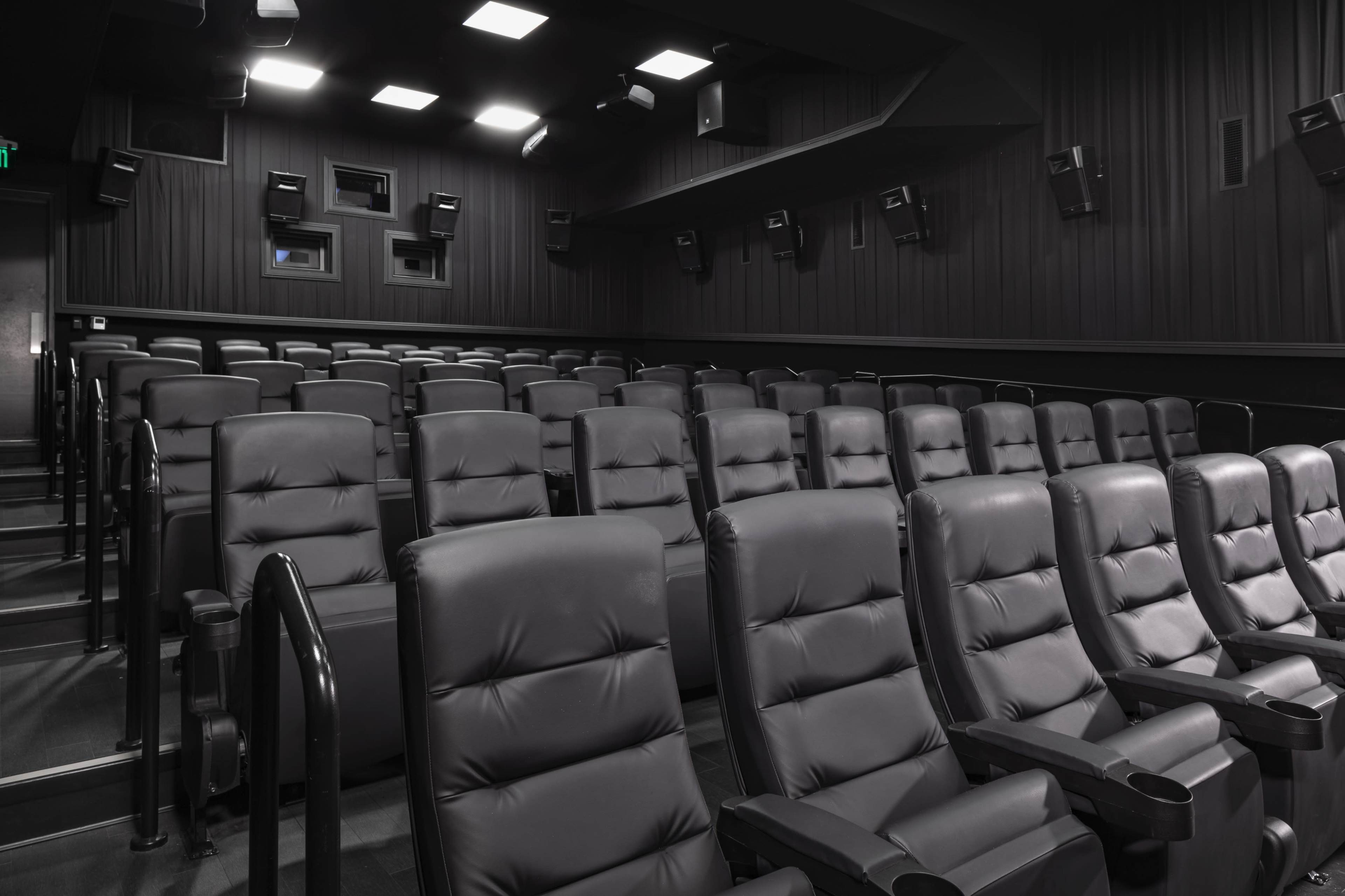 The image shows a darkened theater interior with rows of black leather seats arranged in a semi-circle.