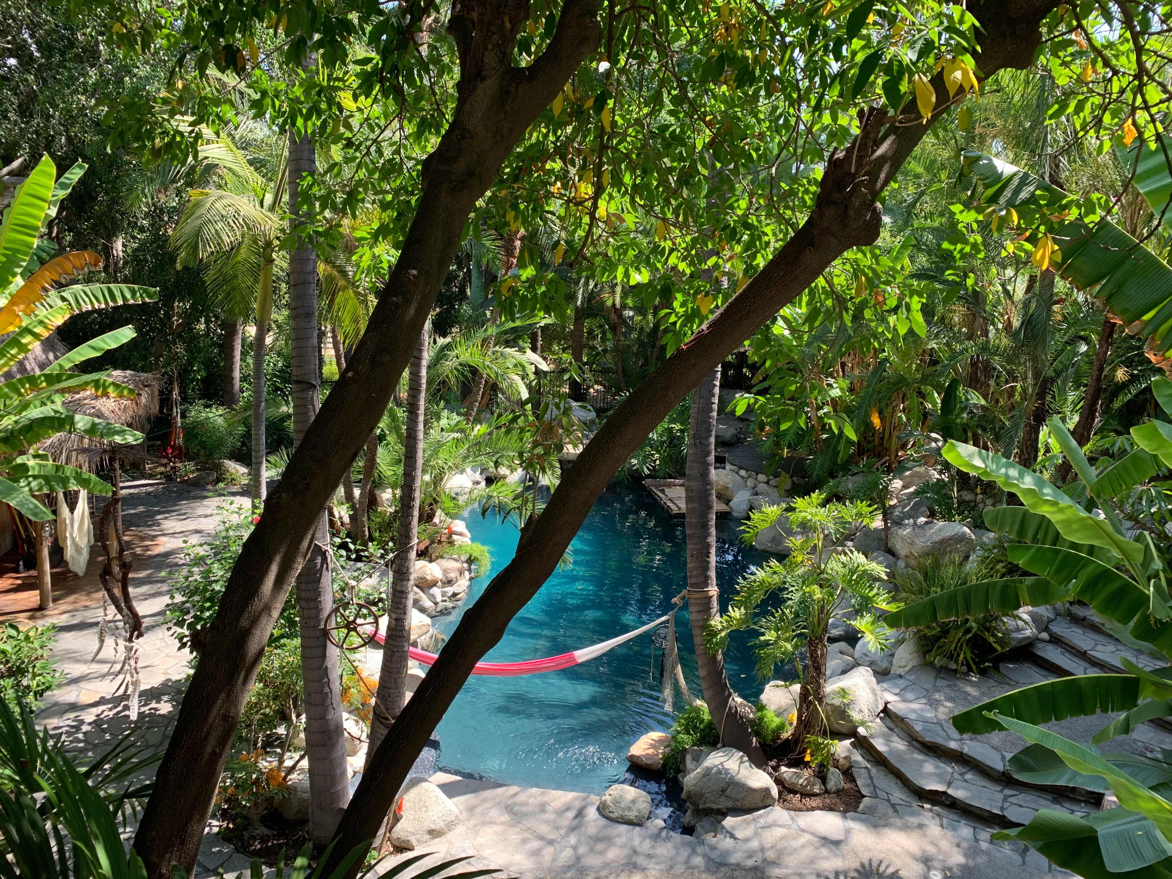 The image shows a tranquil pool surrounded by lush greenery and palm trees, with a hammock strung nearby.