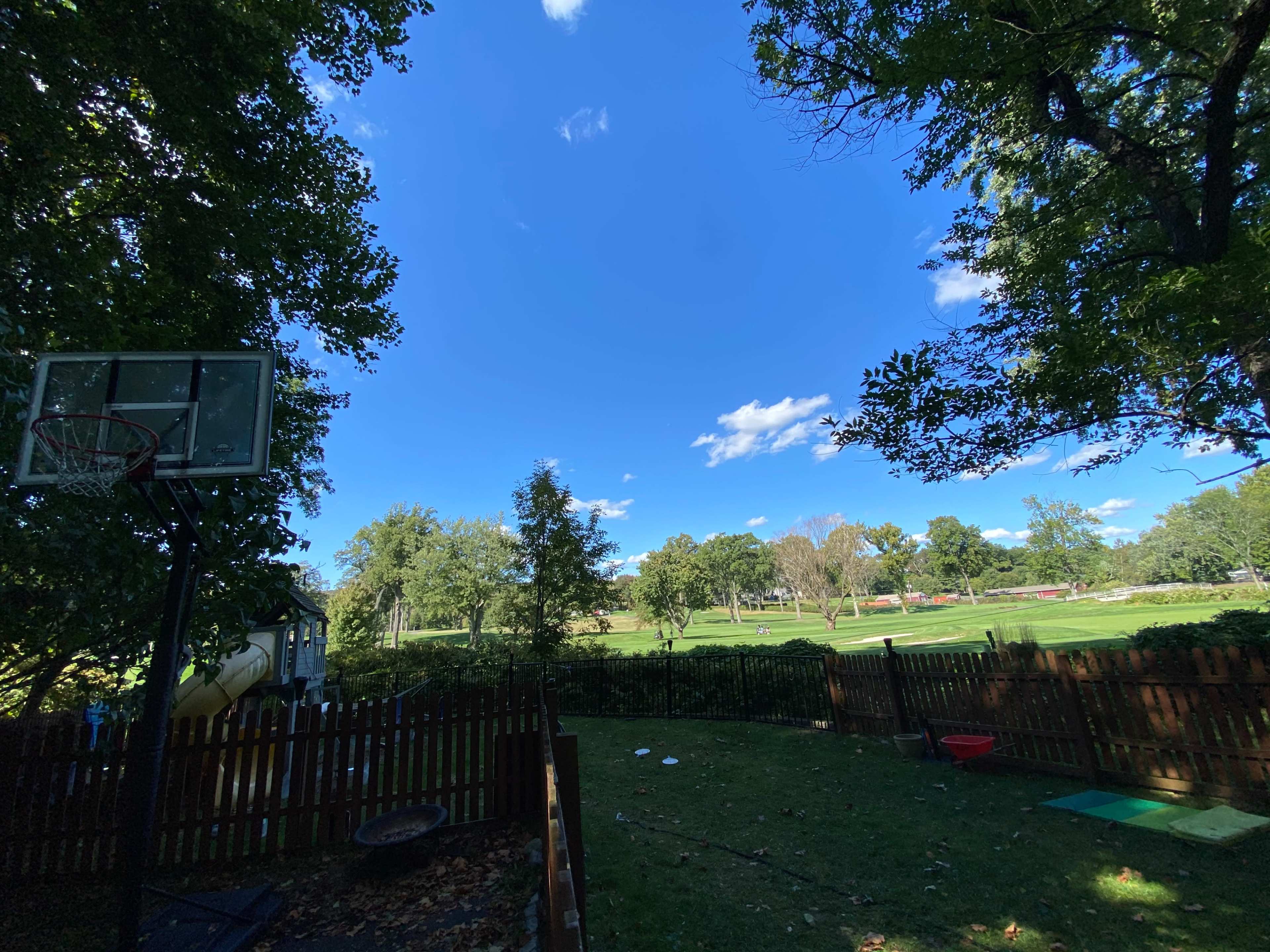 The image shows a grassy backyard with a basketball hoop, trees, and a clear blue sky.