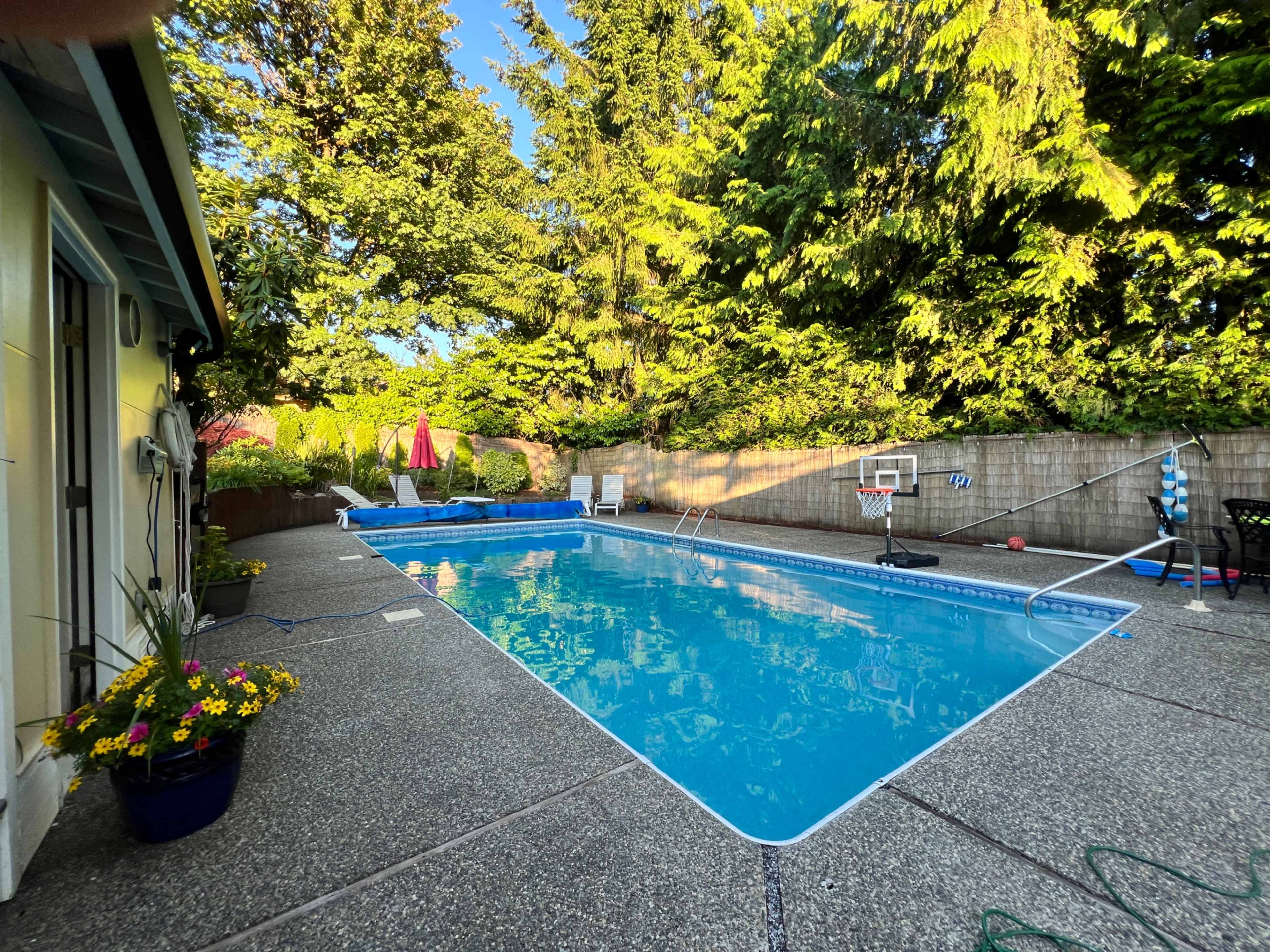 The image shows a backyard swimming pool surrounded by greenery, with lounge chairs, a basketball hoop, and a patio area.