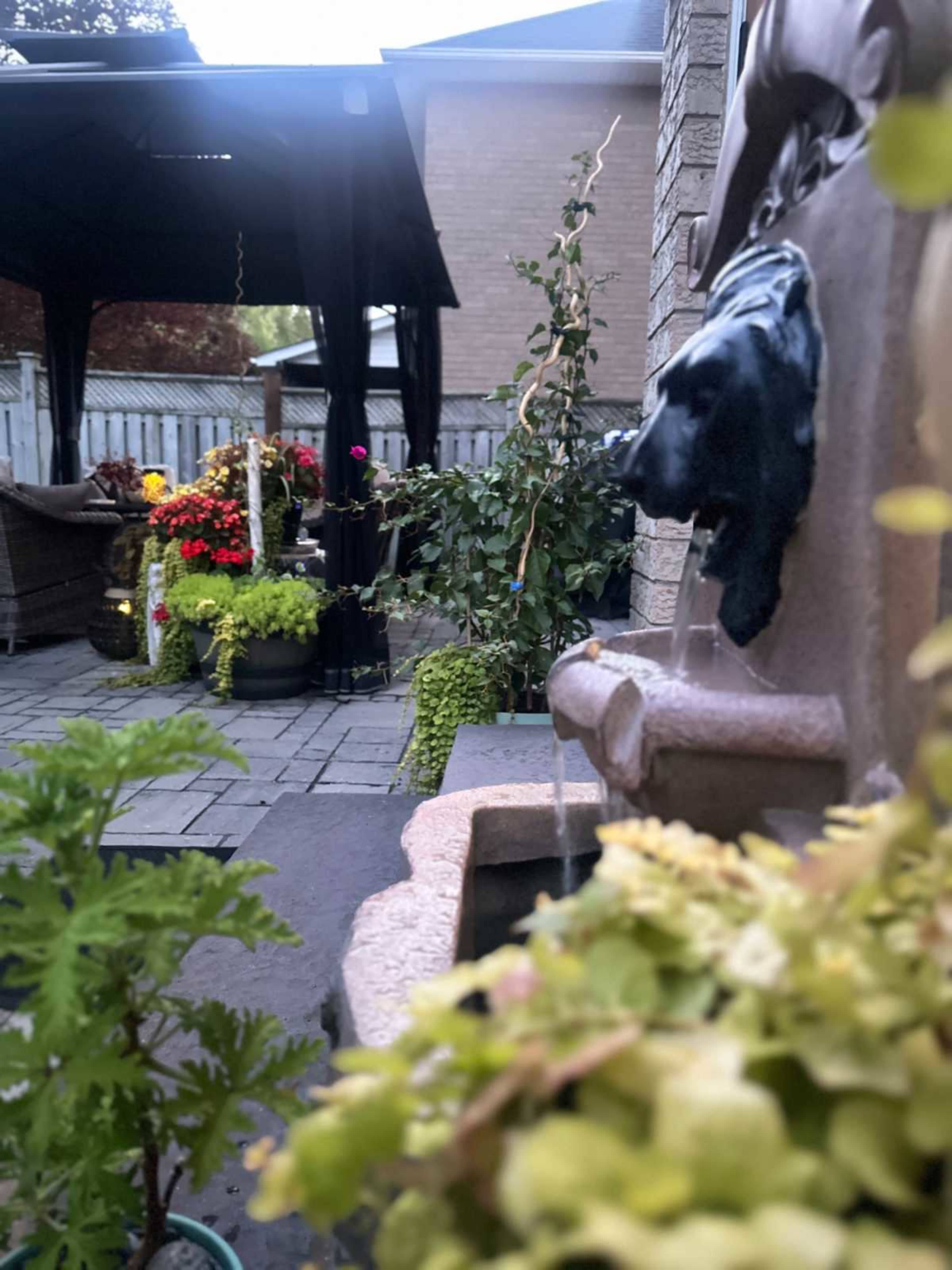 A decorative fountain featuring a lion's head is surrounded by vibrant potted flowers and lush greenery in a backyard space.