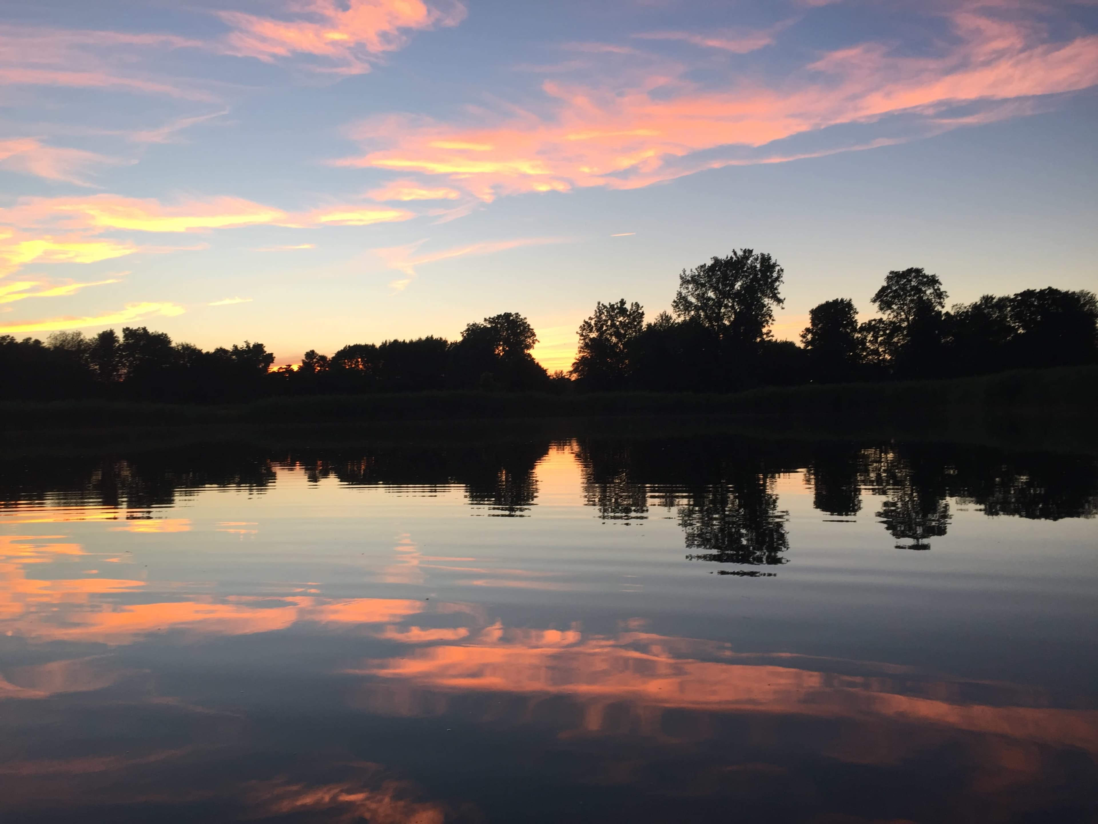 5 Acre Pond with Sunset Views Image in London Township, Milan, MI
