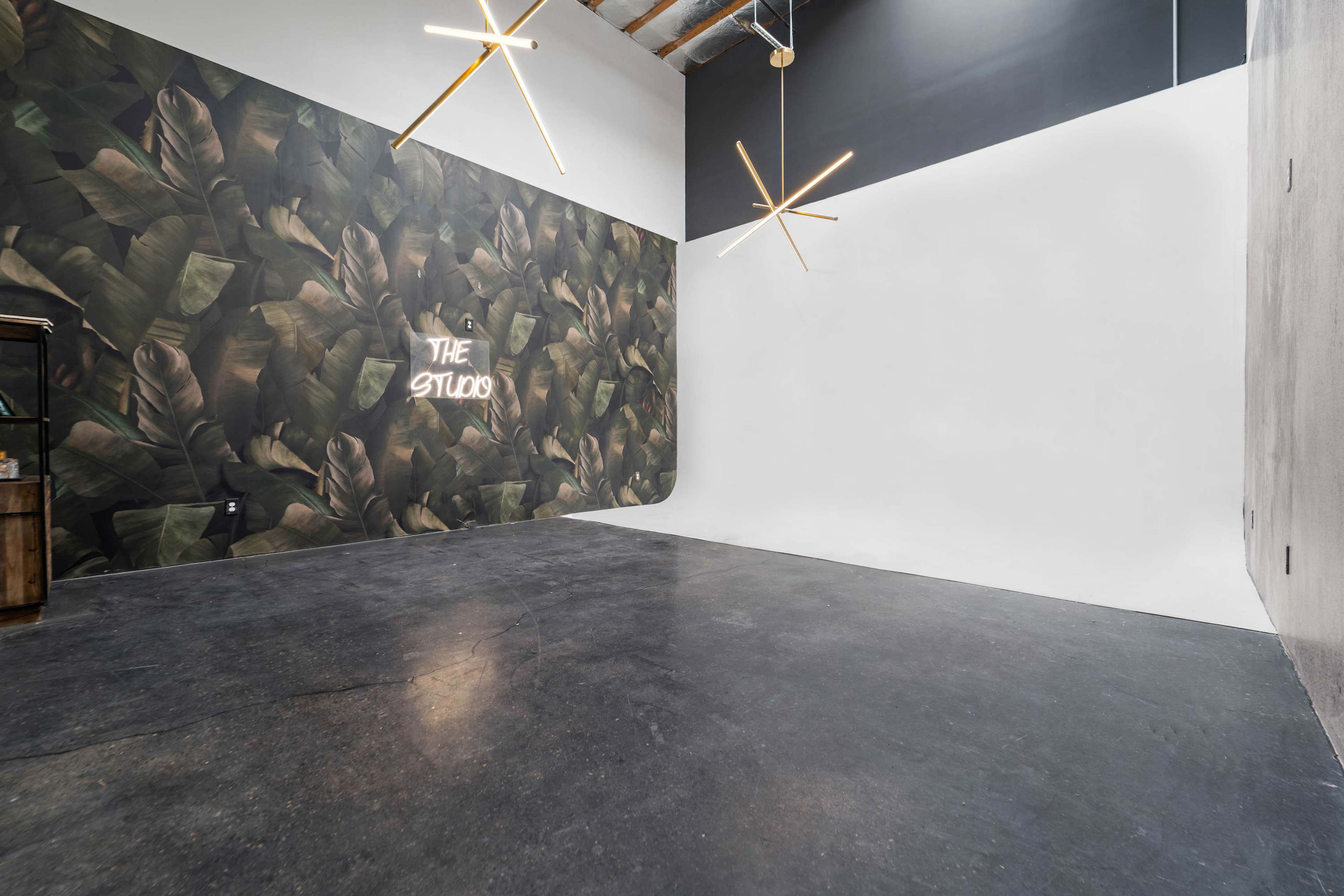 An interior studio space featuring a wall with a leaf-patterned mural and minimalist lighting fixtures.