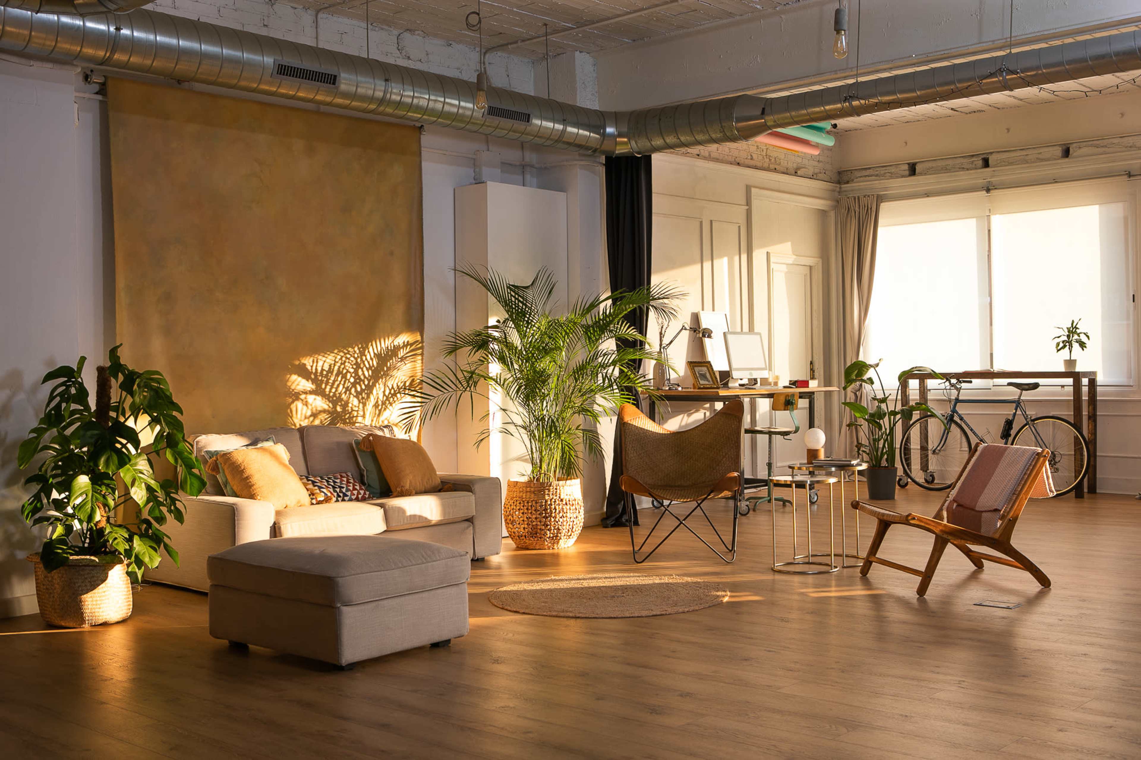 A modern, spacious interior featuring a living area with a sofa, chairs, plants, and a workspace bathed in natural light.