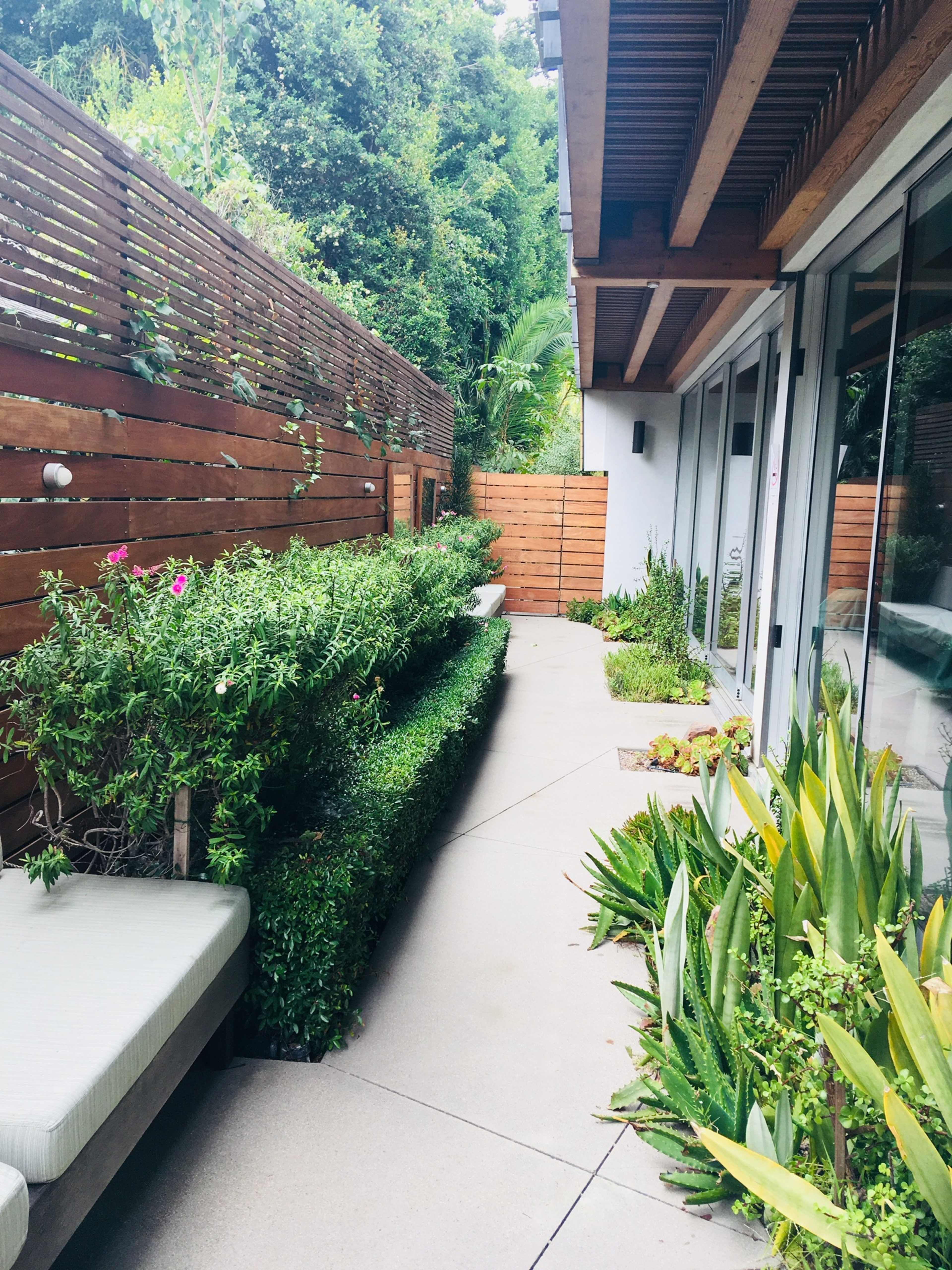 A narrow pathway lined with shrubs and plants leads to a modern home's glass doors, flanked by wooden fencing and a lush backdrop.