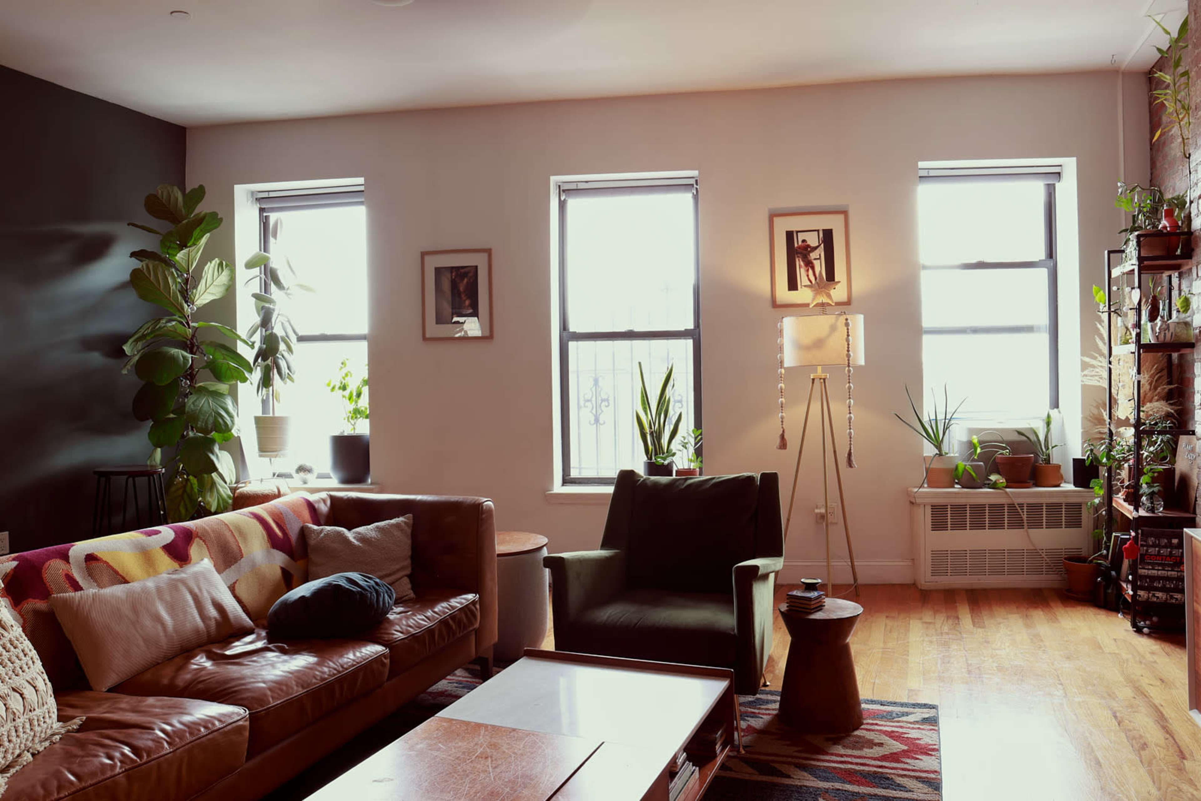 The image shows a living room with a brown leather sofa, an armchair, a coffee table, and several plants by the windows.