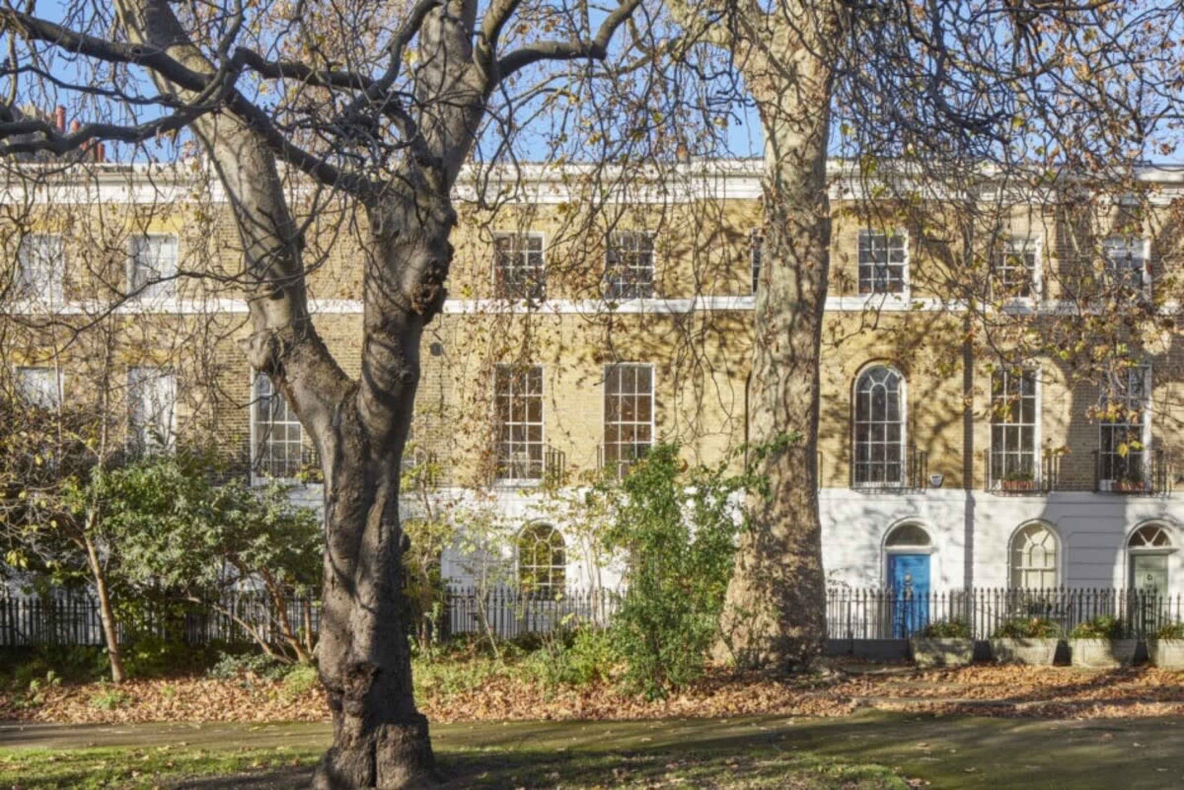 The image shows a row of beige buildings with large windows, surrounded by trees and fallen leaves in a park.