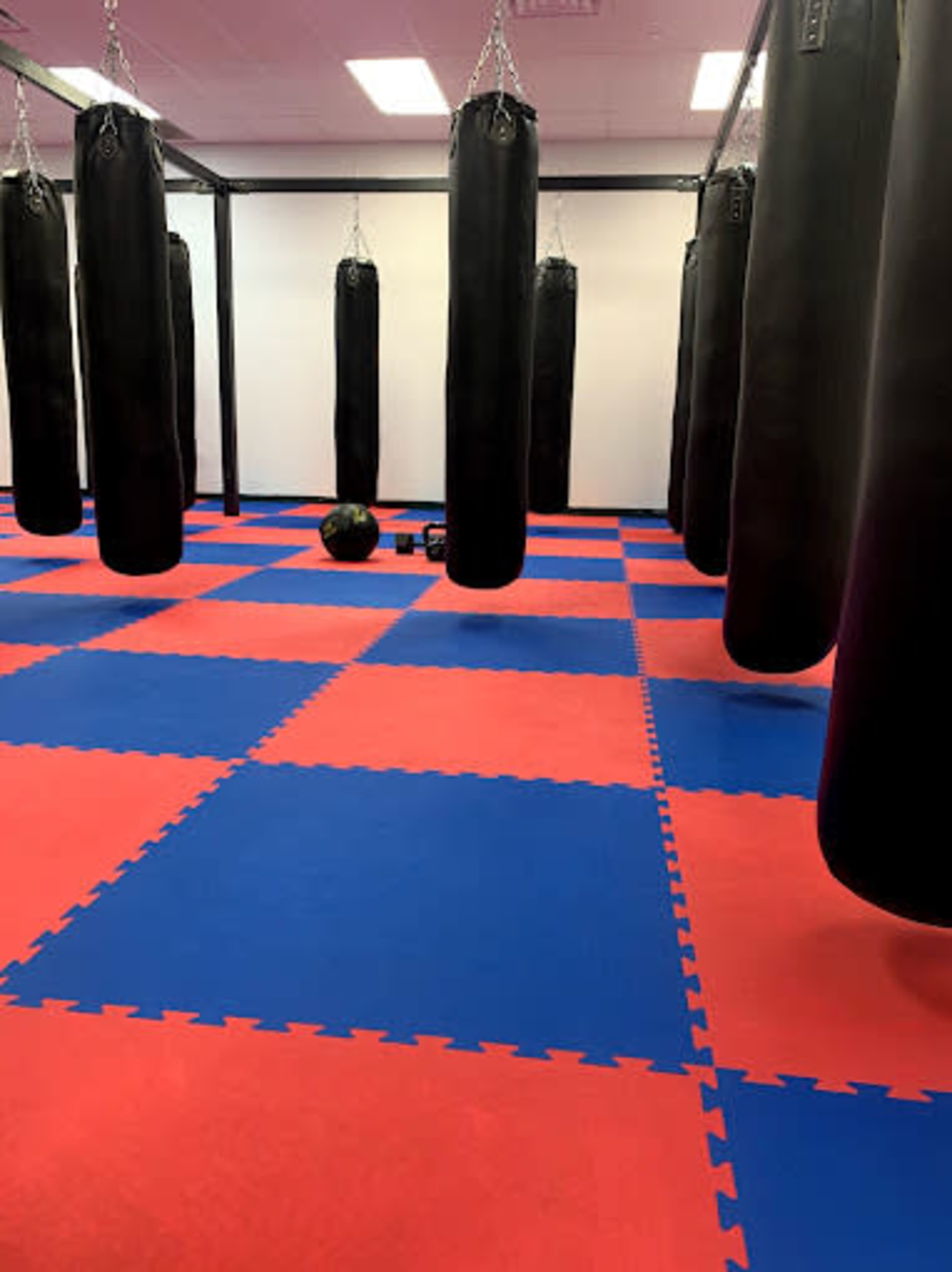 Grow your personal training  business with us! Image in Hudson, Hudson, MA