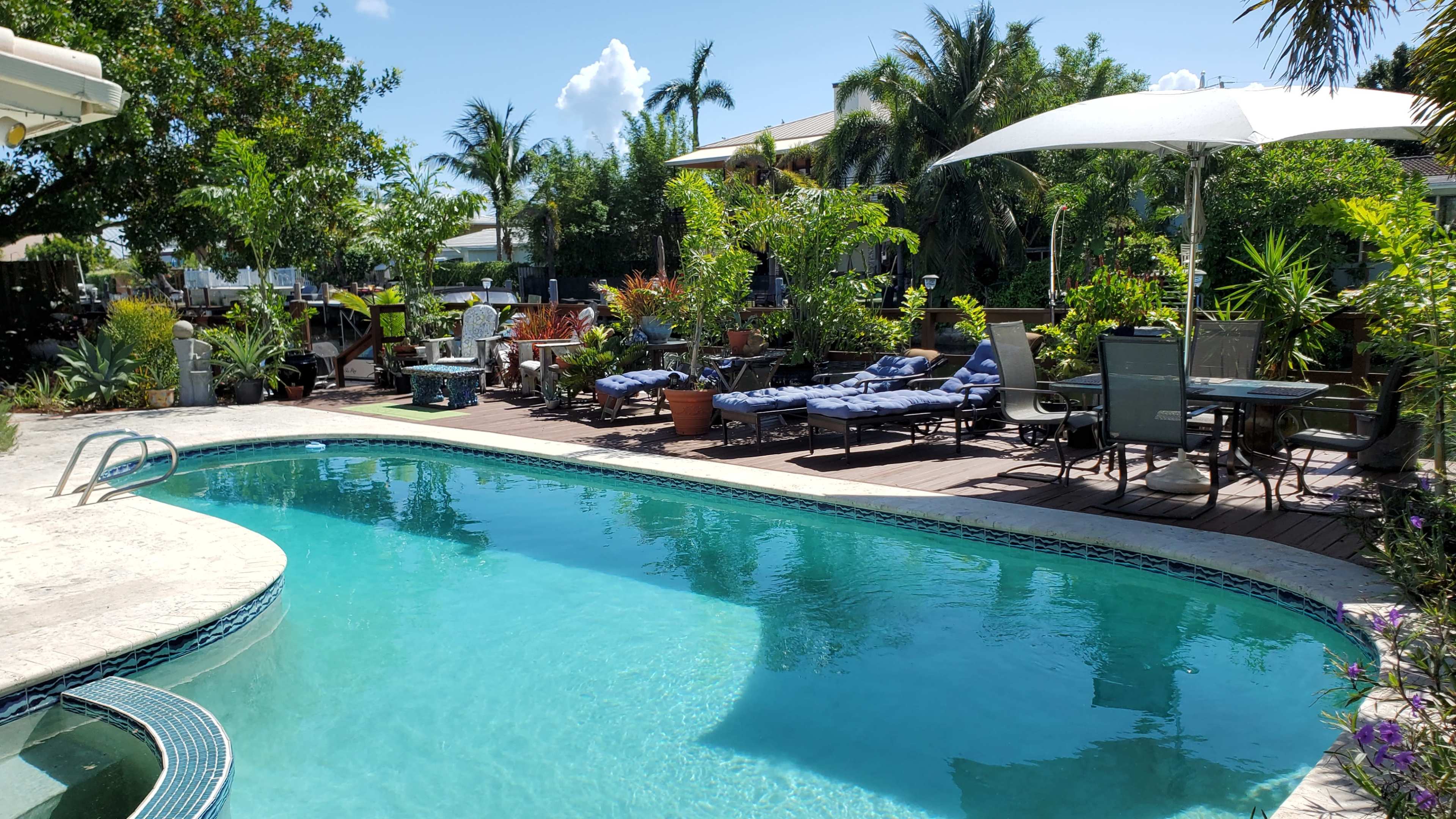 The scene features a swimming pool surrounded by lounge chairs and tropical plants in a sunny outdoor setting.