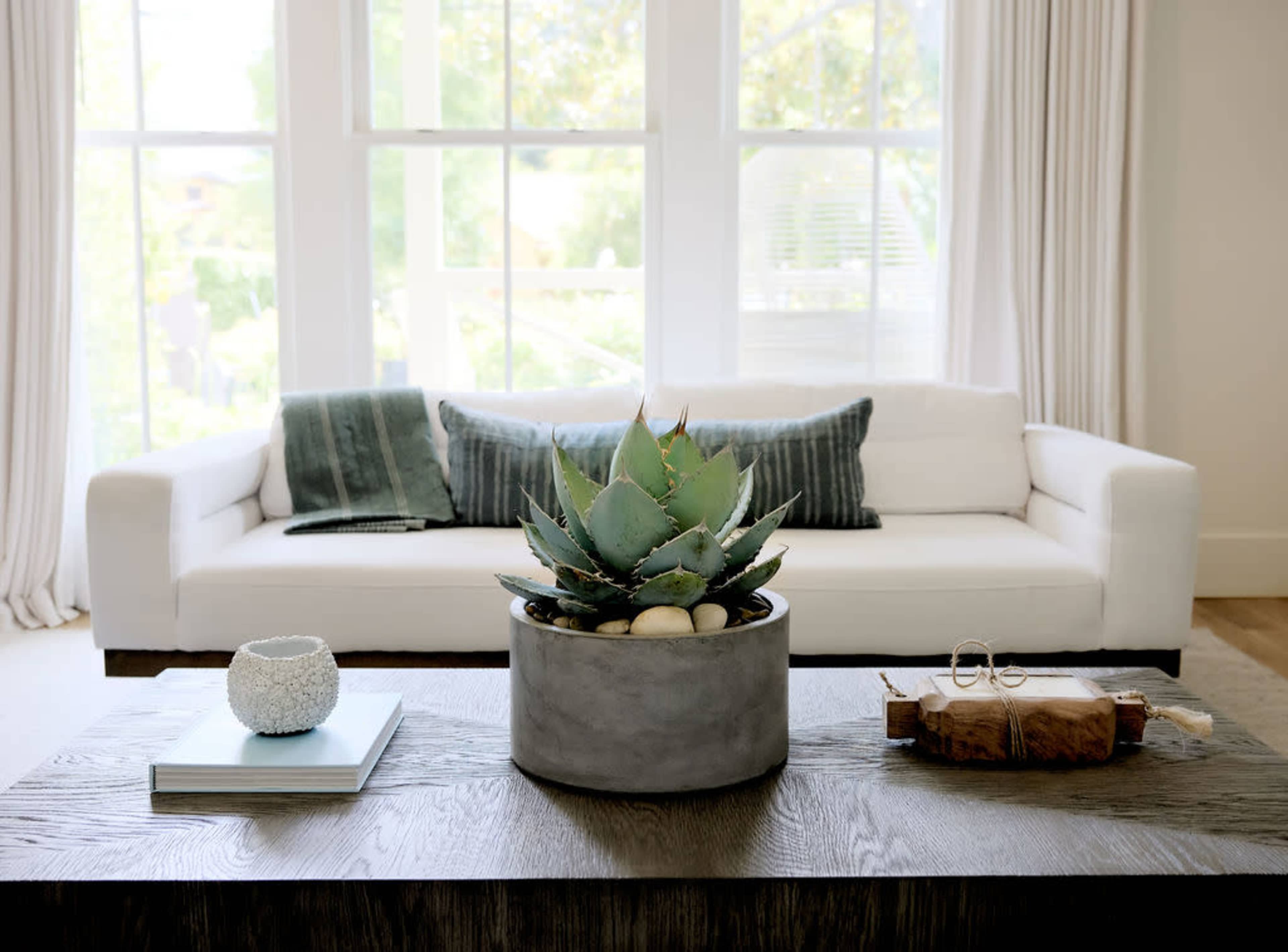 Meticulously Designed Modern Farmhouse with Scandinavian Aesthetic Image in , Mill Valley, CA