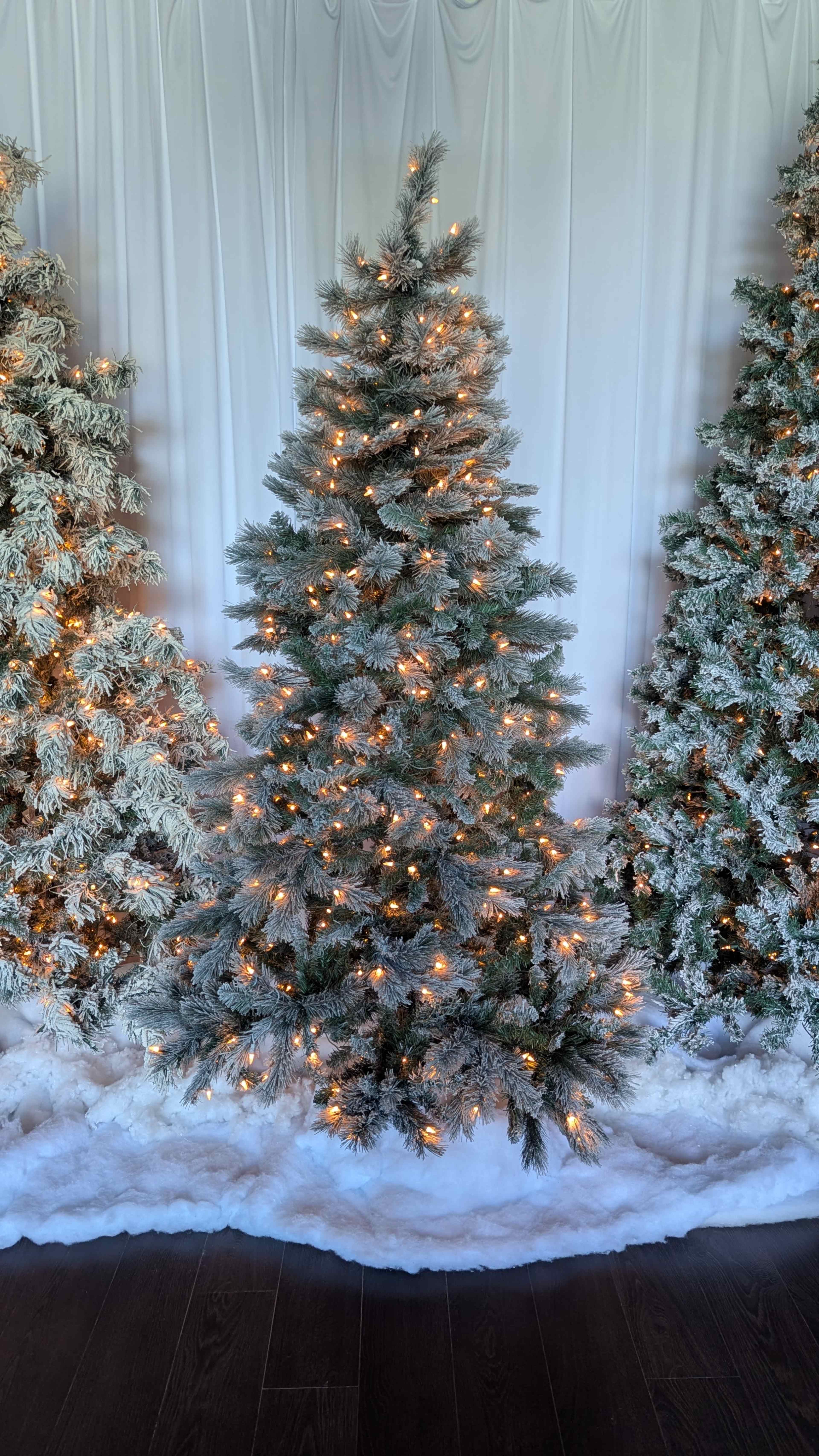 The image shows three adorned Christmas trees with white lights, set against a white backdrop and surrounded by snow-like decorations.