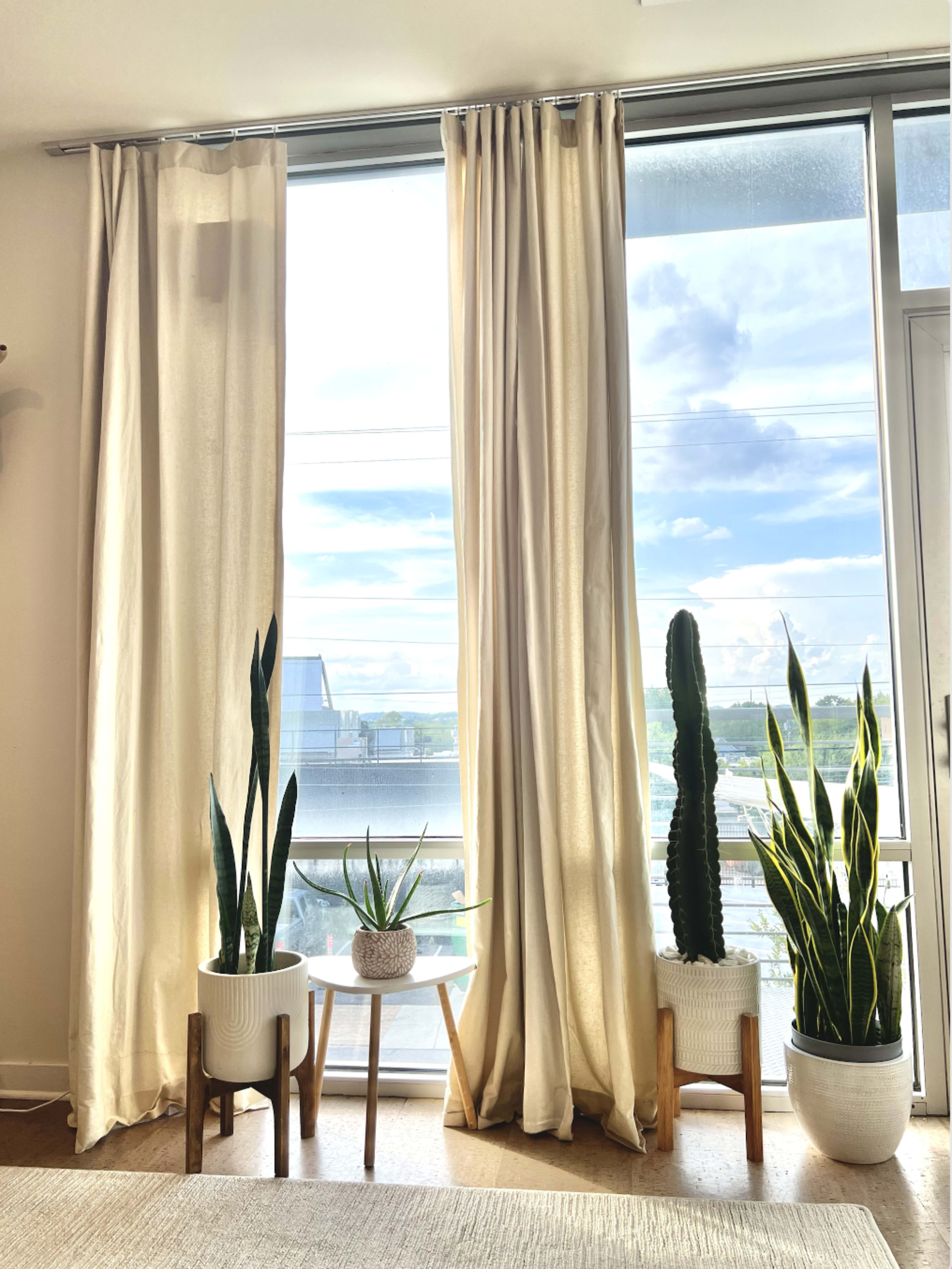 A well-lit room with two tall curtains framing a large window, flanked by potted plants on wooden stands.