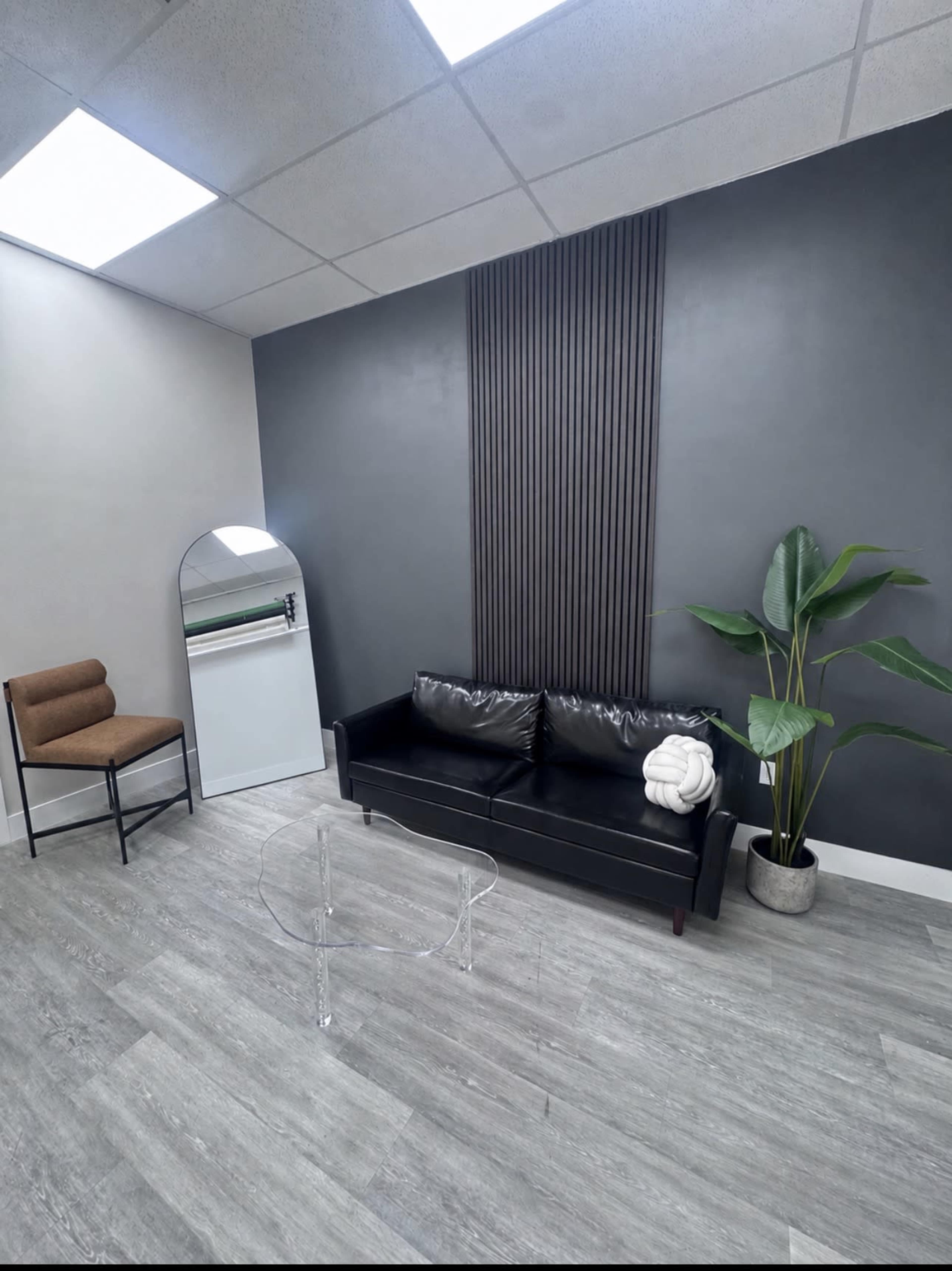 The image shows a modern interior space featuring a black sofa, an acrylic coffee table, a chair, a mirror, and a tall green plant against a gray wall.