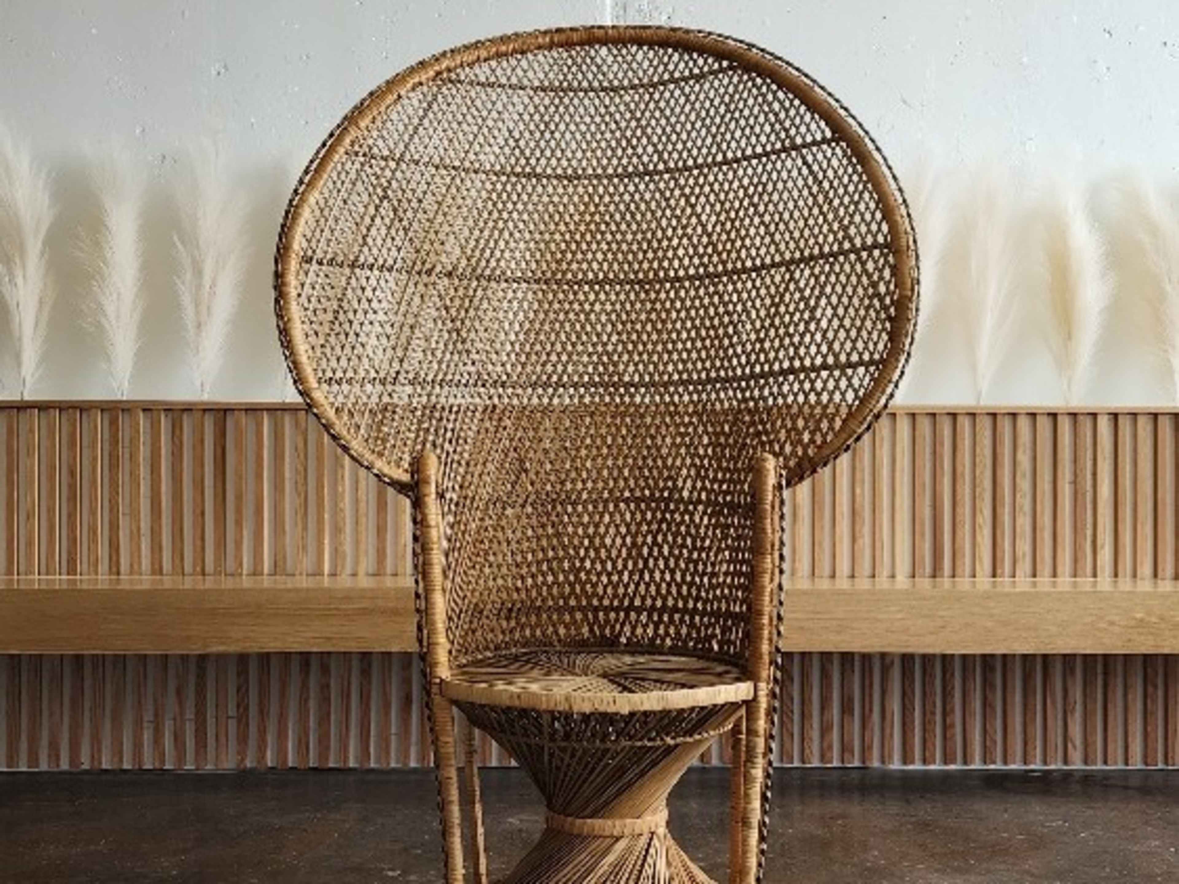 Peacock Chair