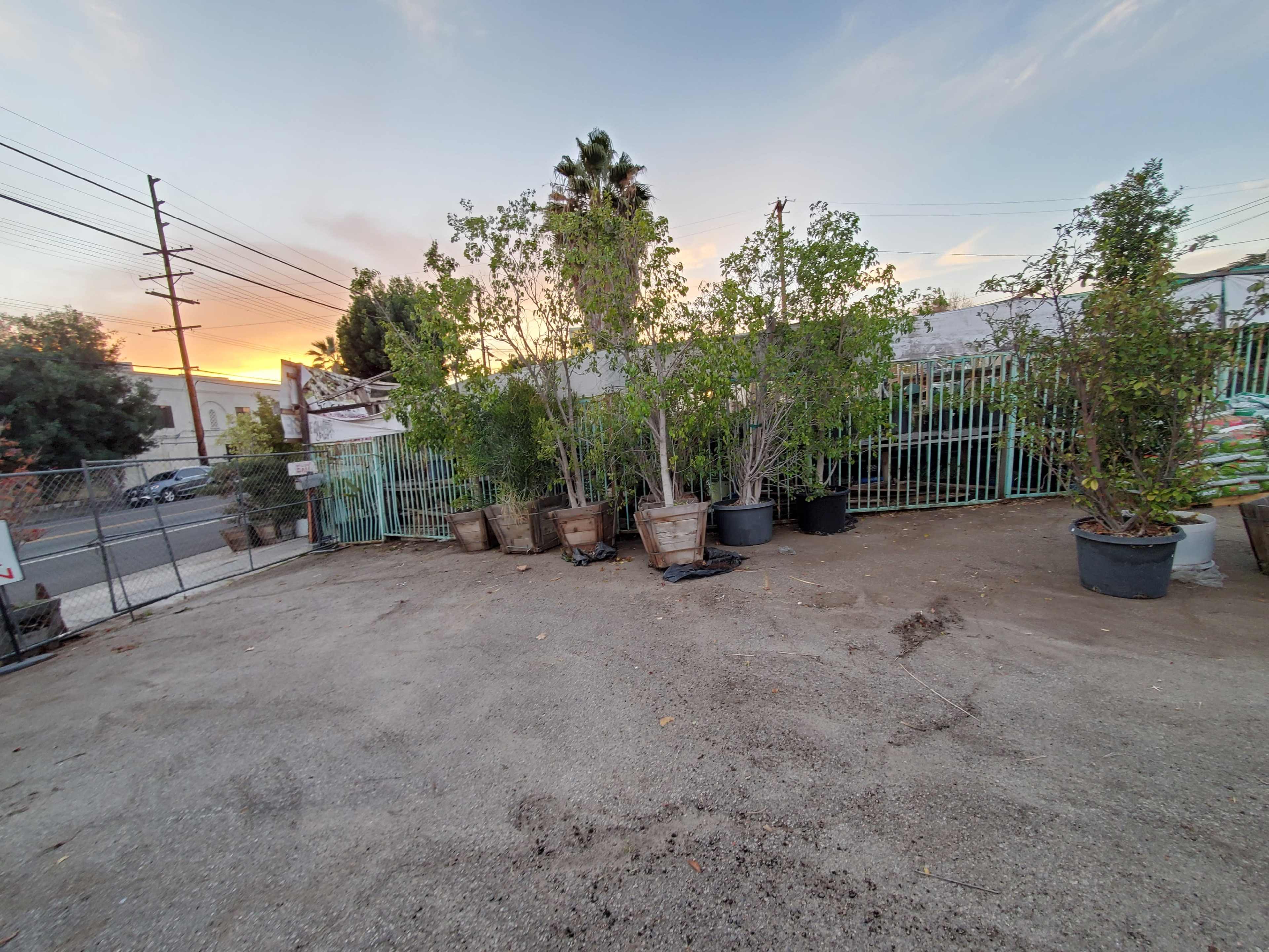 The image shows a gravel-covered lot with potted plants and a green fence in the background, under a sunset sky.