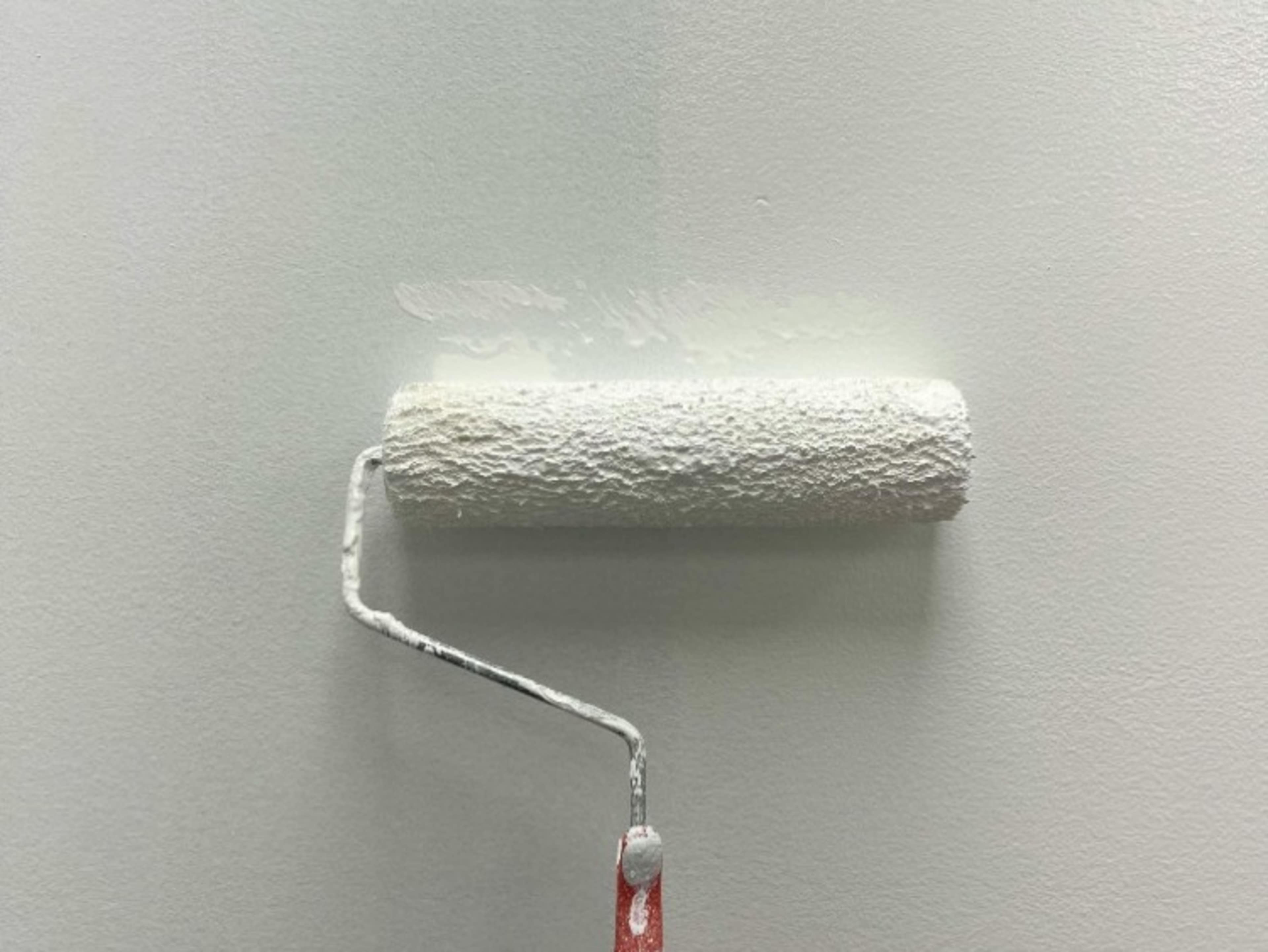 Fresh Cyc Wall Paint