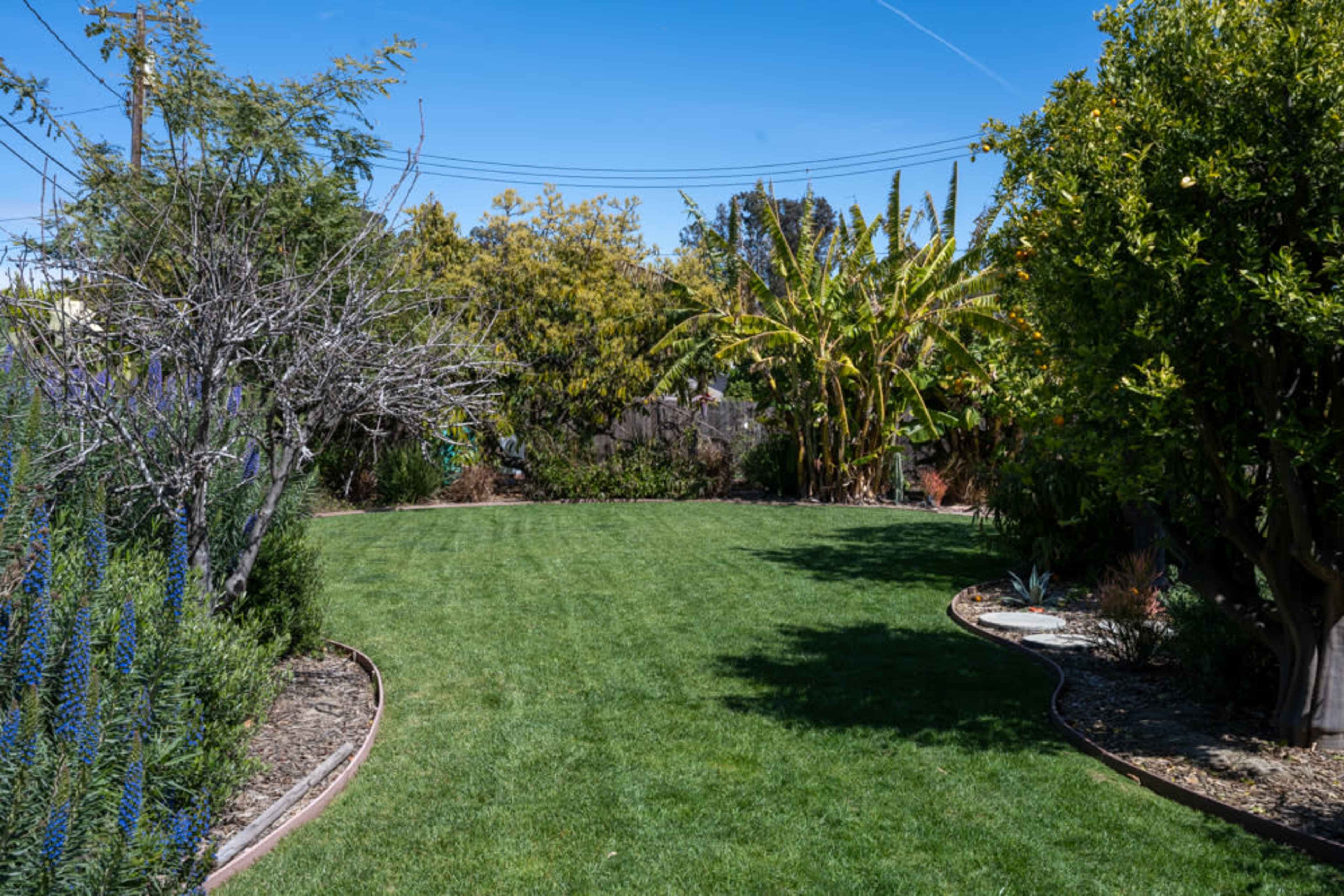 A grassy yard features a curved pathway surrounded by various vegetation, including trees and shrubs.