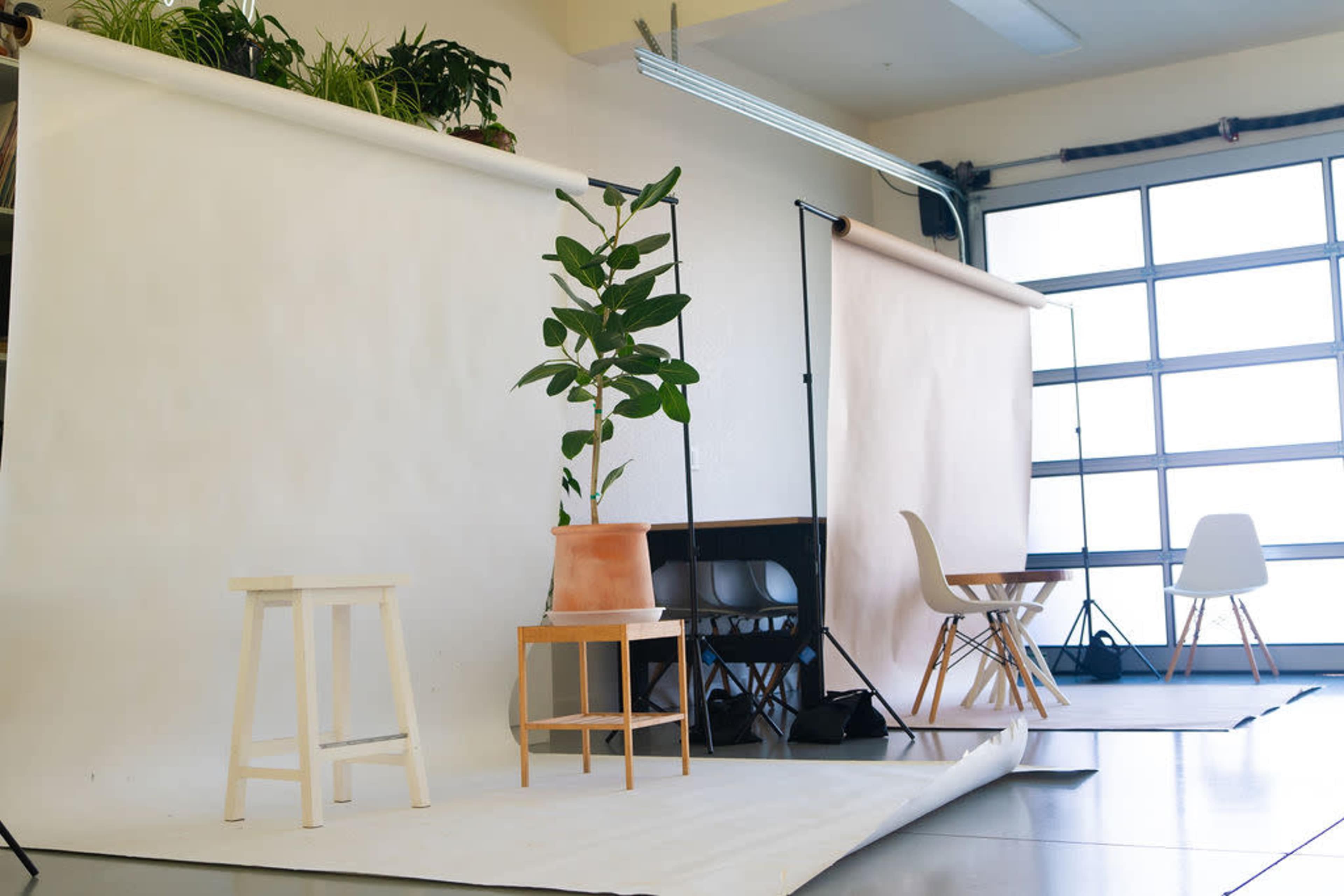 Beautifully Designed Photography and Content Space with Natural Light, Plants, Bar Set-up, Design-Forward Image in Richmond, Richmond, CA