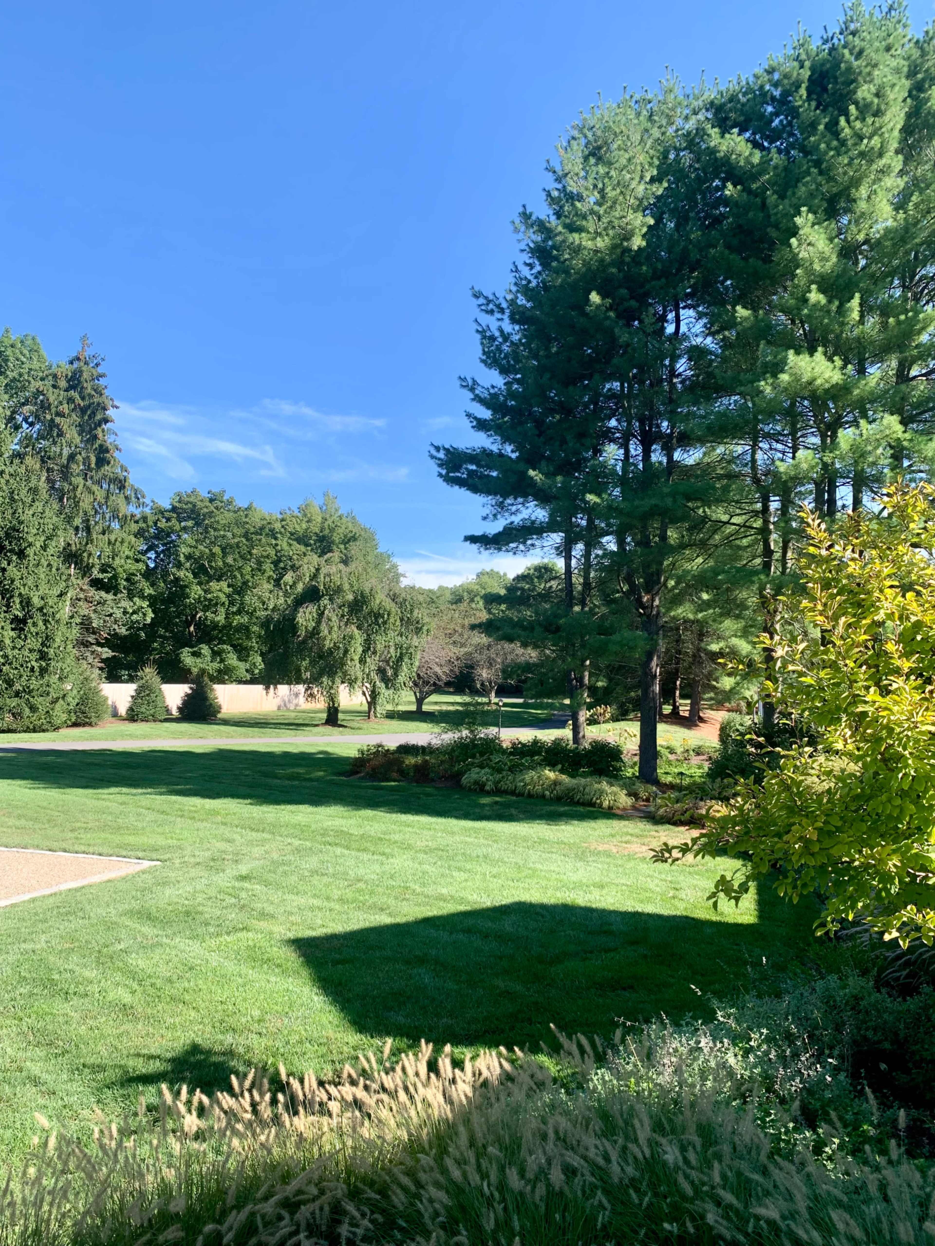 A well-maintained lawn with various trees and shrubs under a clear blue sky.