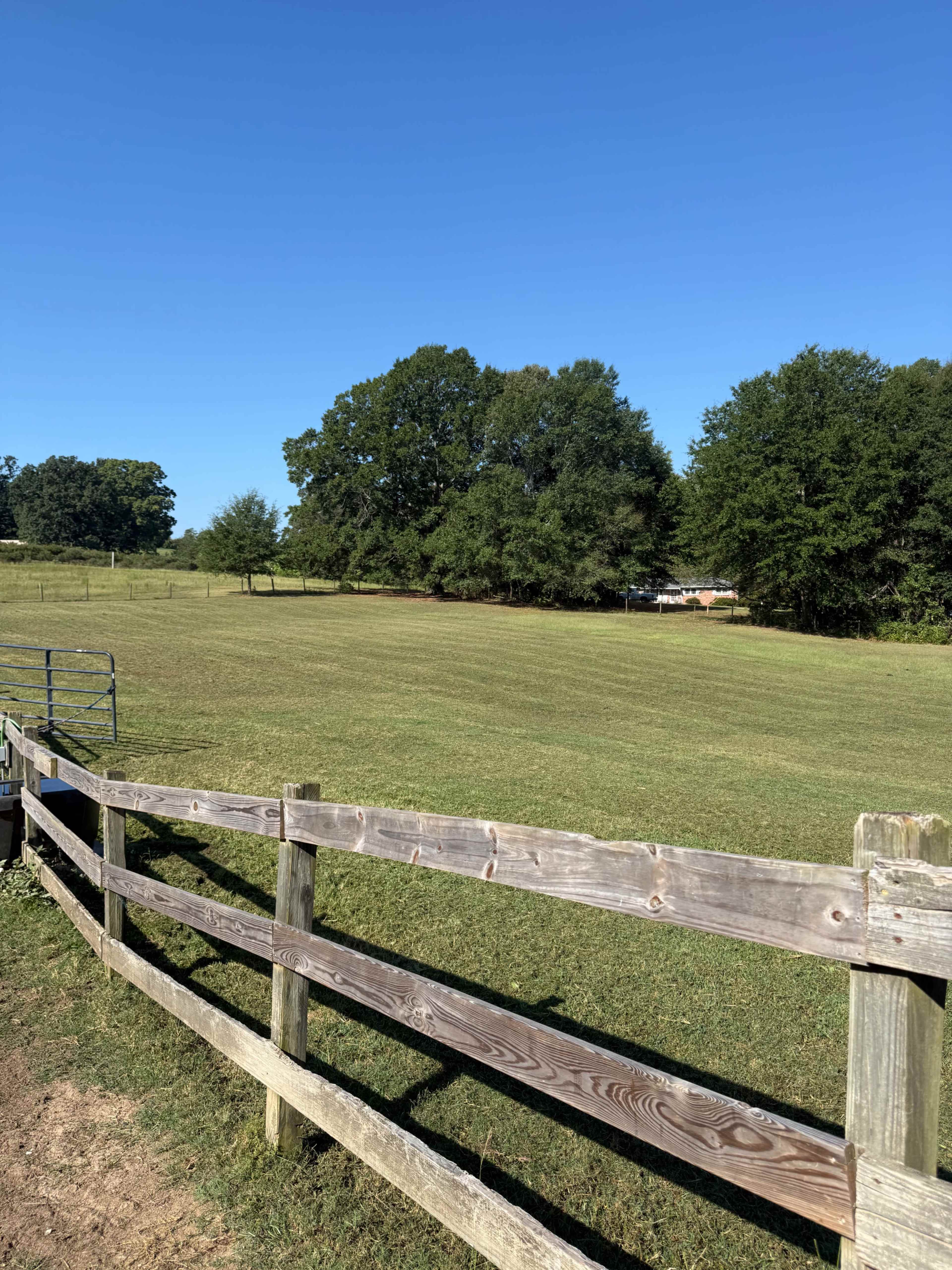 The Enchanted Herd - Photo Shoot Barn Image in , Travelers Rest, SC