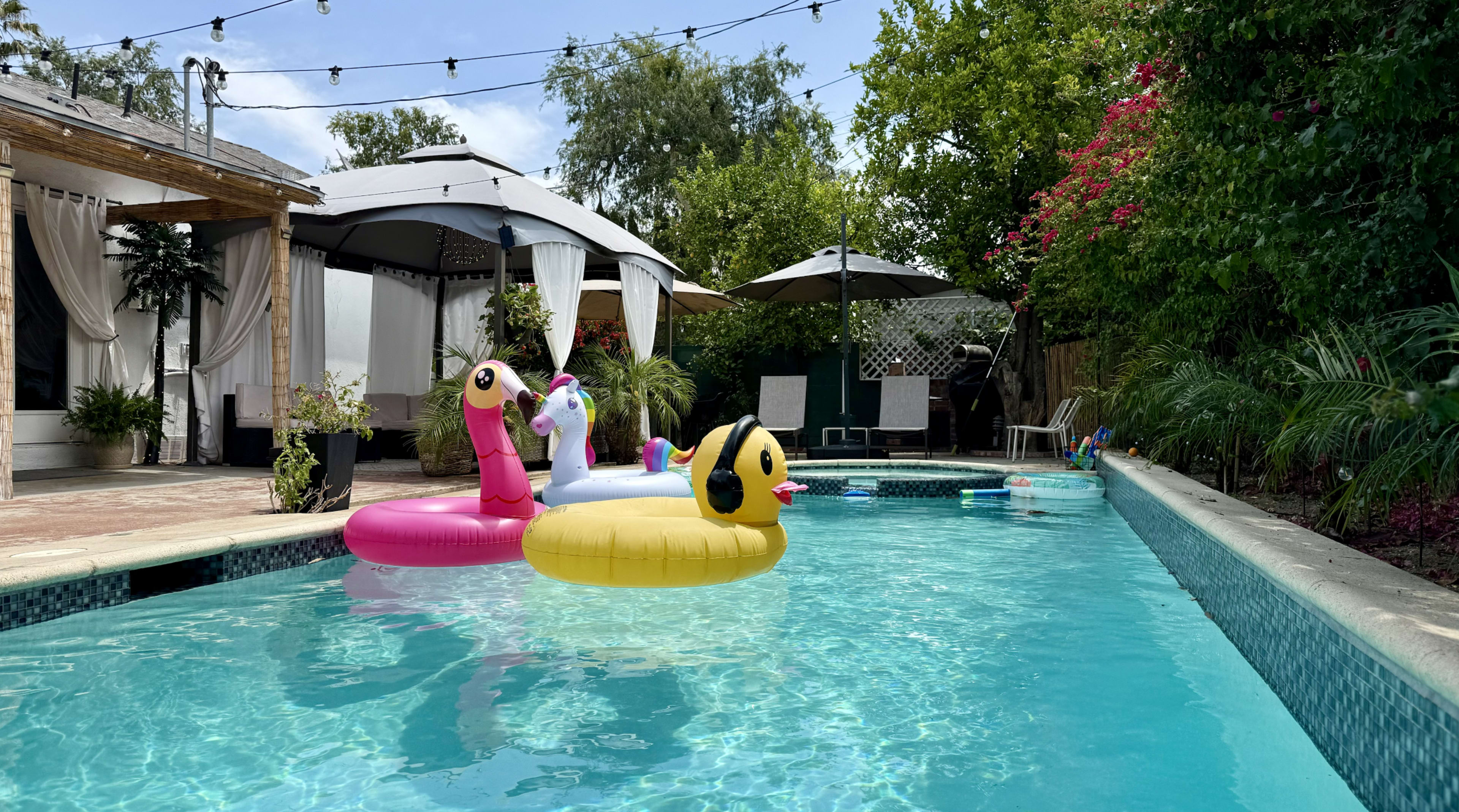 Gated Hidden Paradise Pool Image in Canoga Park, Canoga park, CA