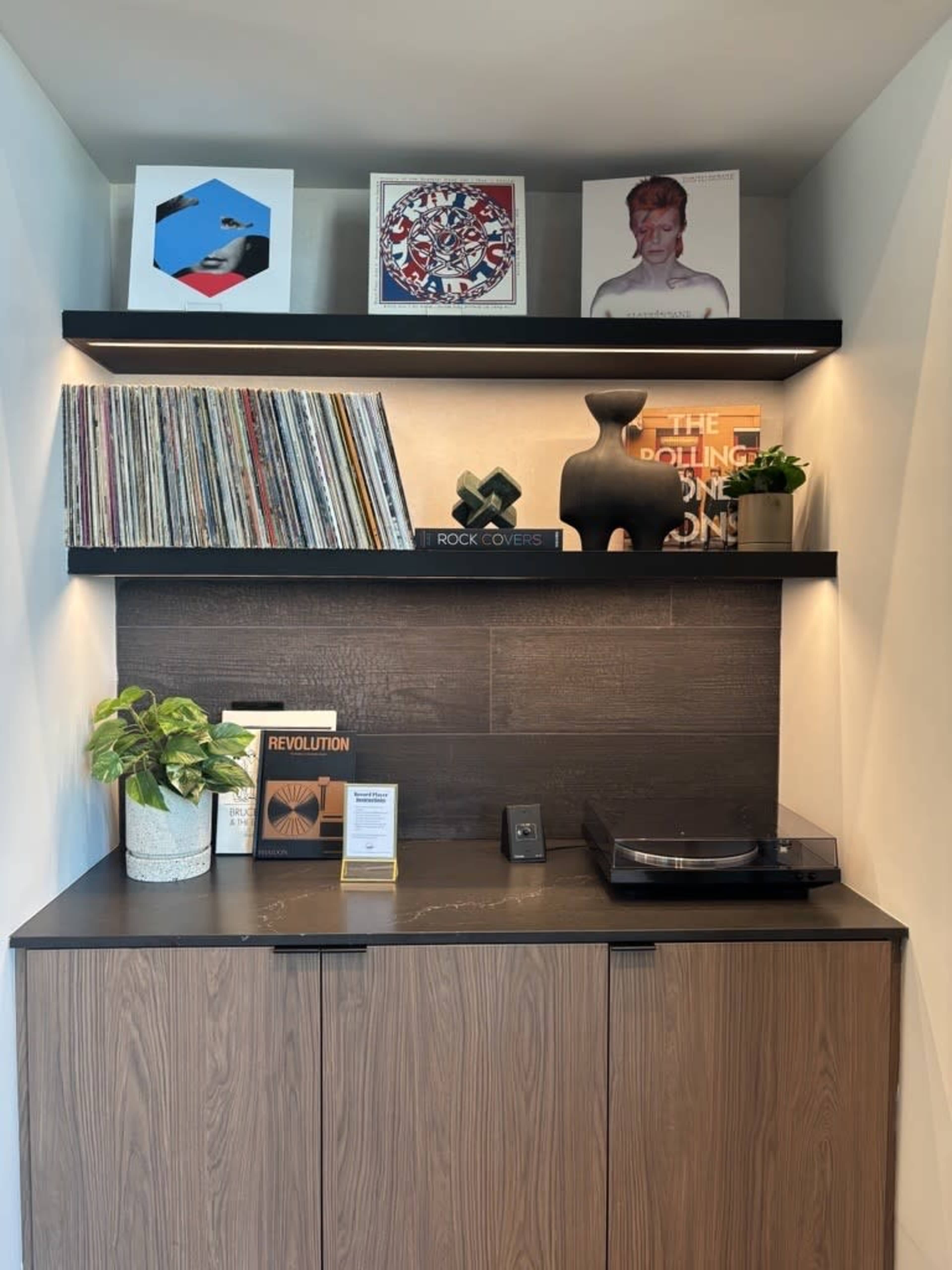 The image shows a sleek display of vinyl records, a turntable, a potted plant, and decorative items on black shelves above a wooden cabinet.