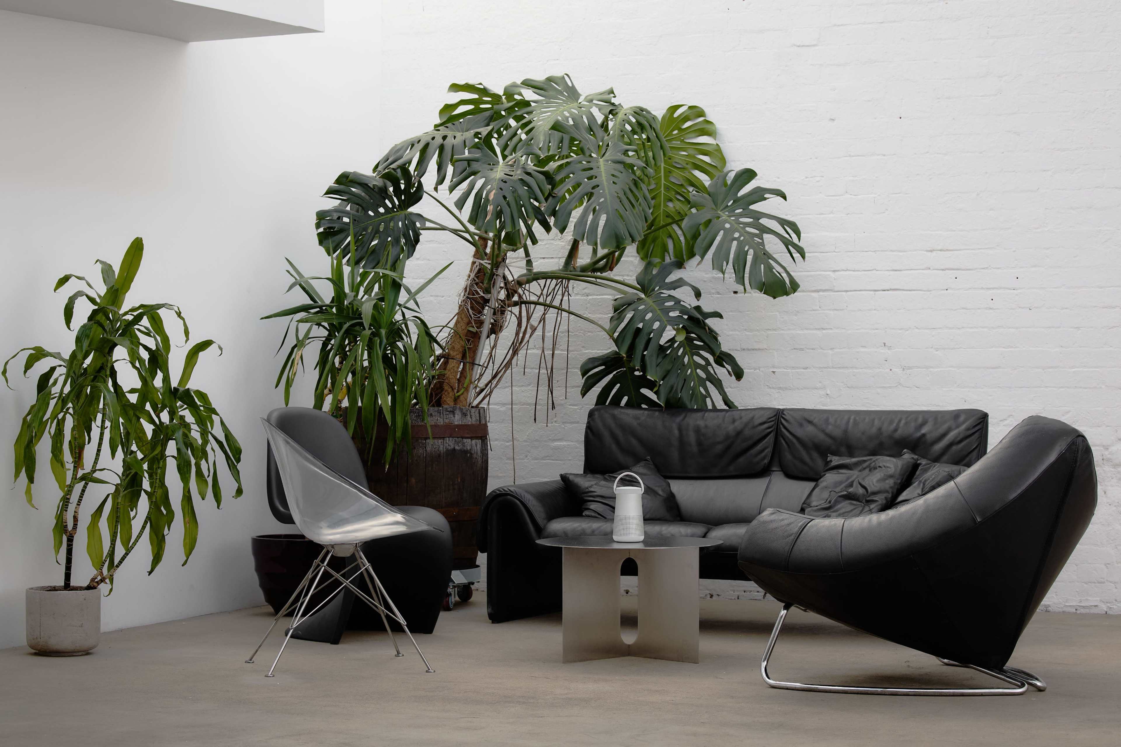 The image shows a lounge area featuring a black leather sofa, two unique chairs, a table, and several green plants in a modern, minimalist setting.