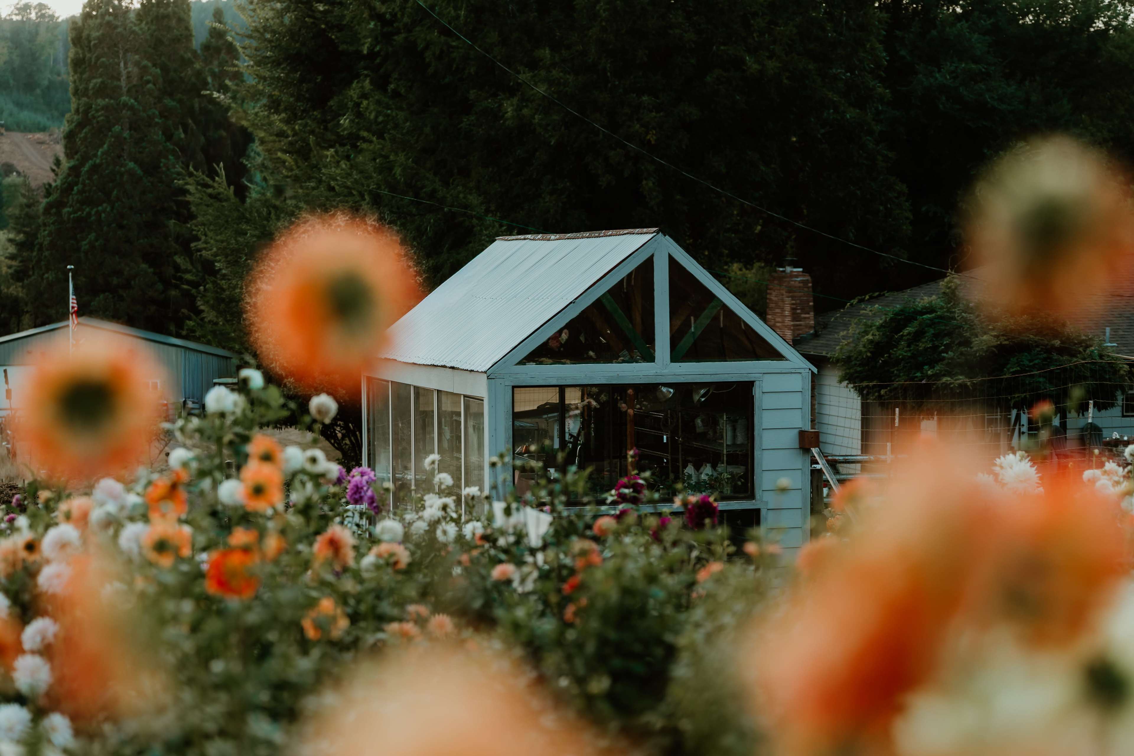 A greenhouse is situated among blooming flowers in a garden.
