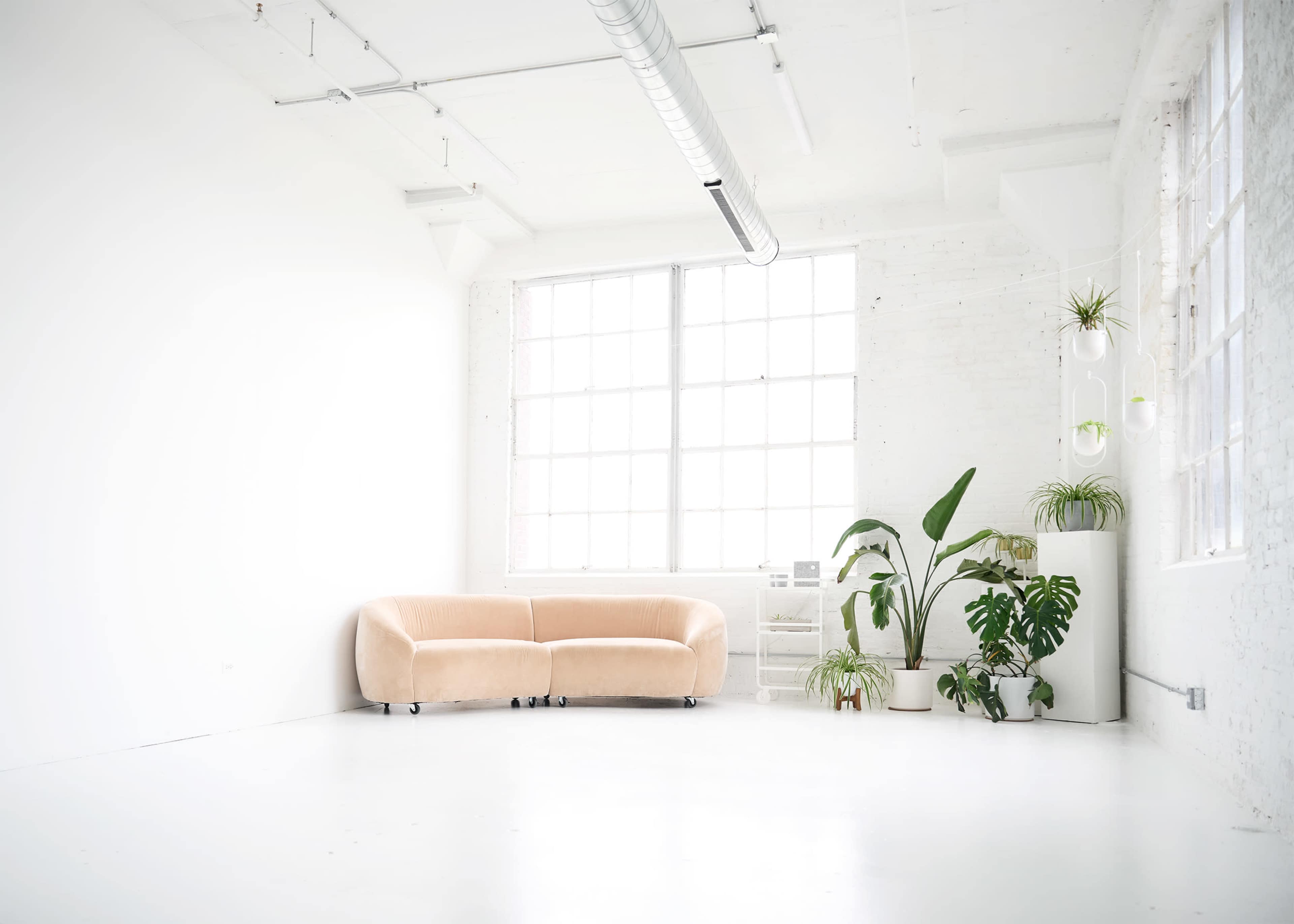 A minimalist room features a light-colored, curved sofa and several plants against a white backdrop with large windows.