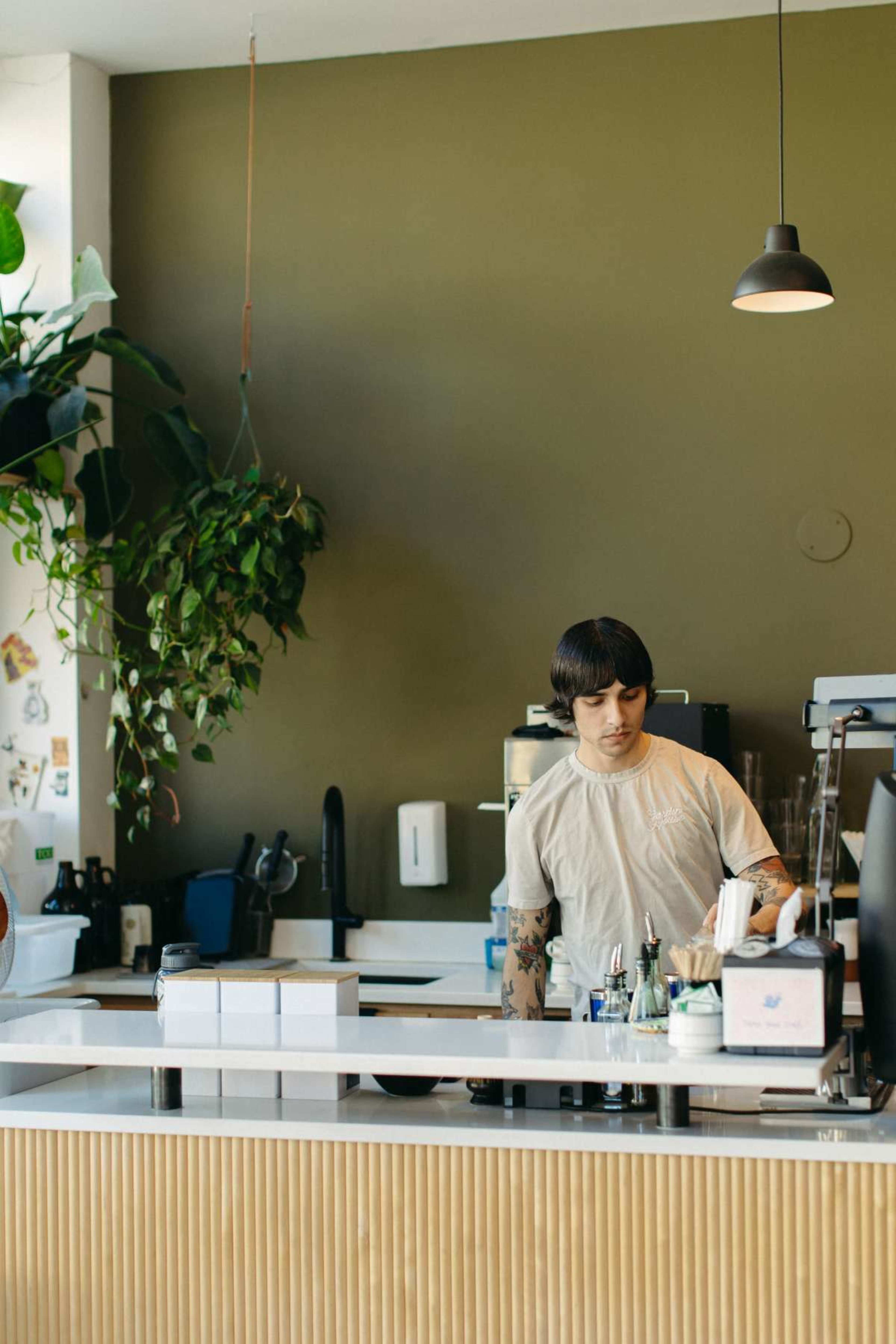 A barista prepares drinks behind a modern coffee shop counter with potted plants in the background.