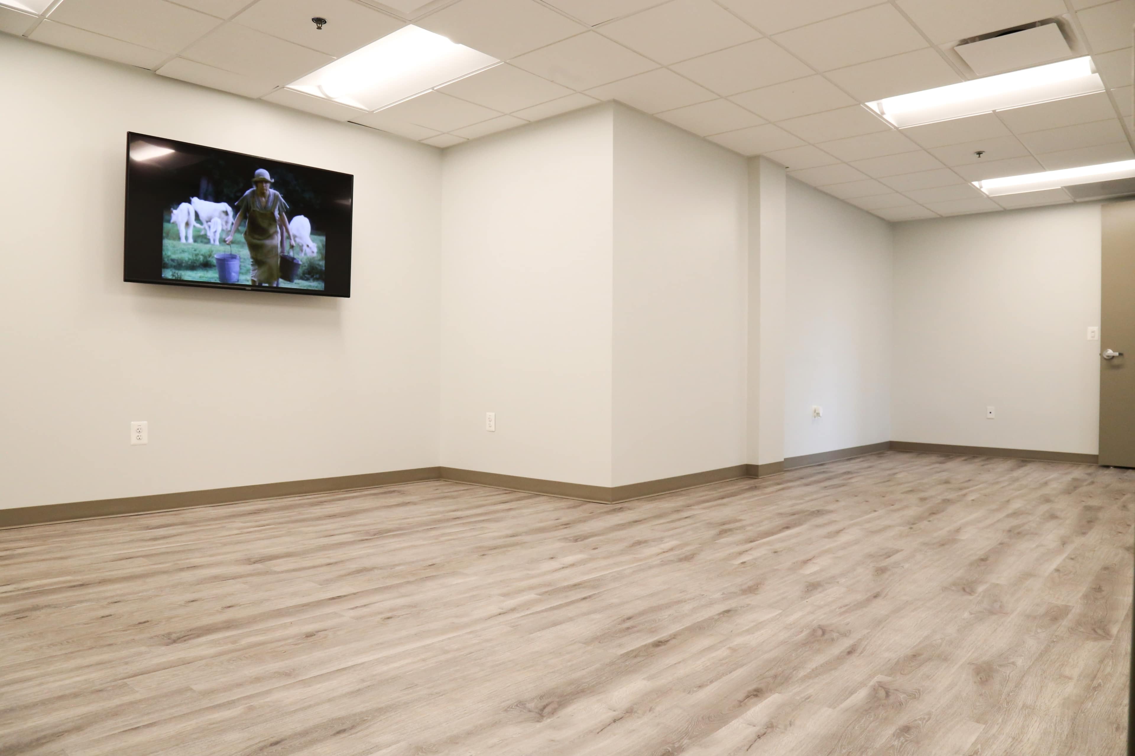 A sparsely furnished room with light gray walls, wooden floors, and a television mounted on the wall displaying a scene with a person and animals.