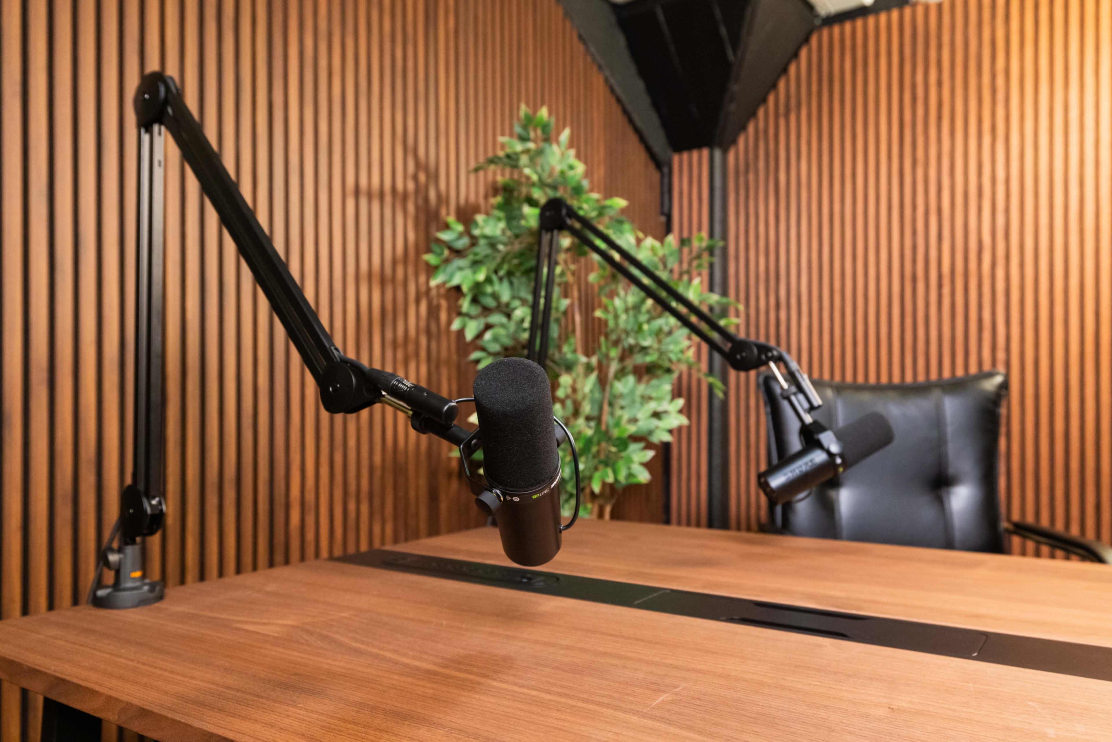 The image shows a podcast studio with a wooden table, microphone stands, and a potted plant against a backdrop of wooden paneling.