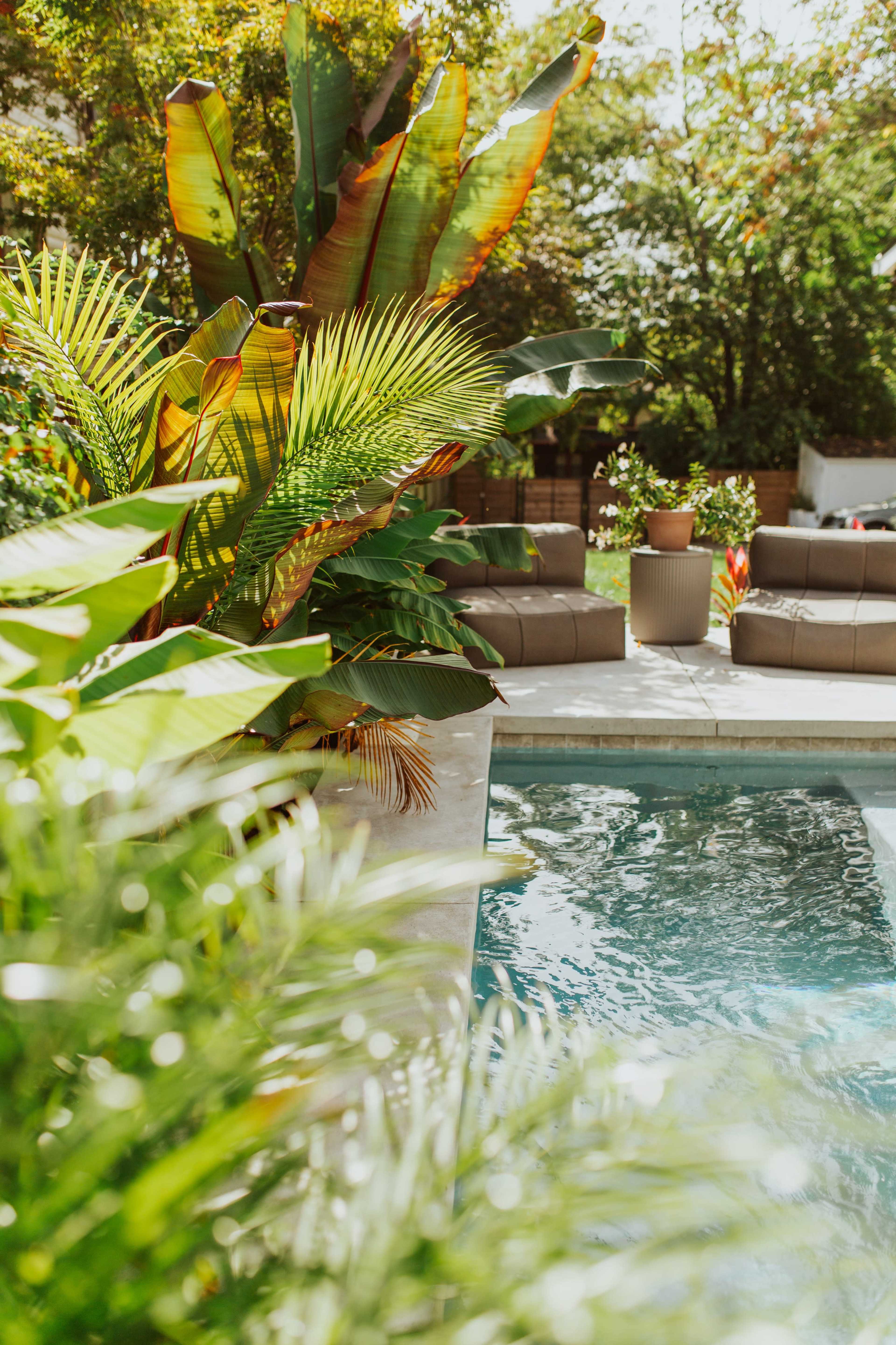 A clear swimming pool is surrounded by lush greenery and two brown lounge chairs on a sunny day.