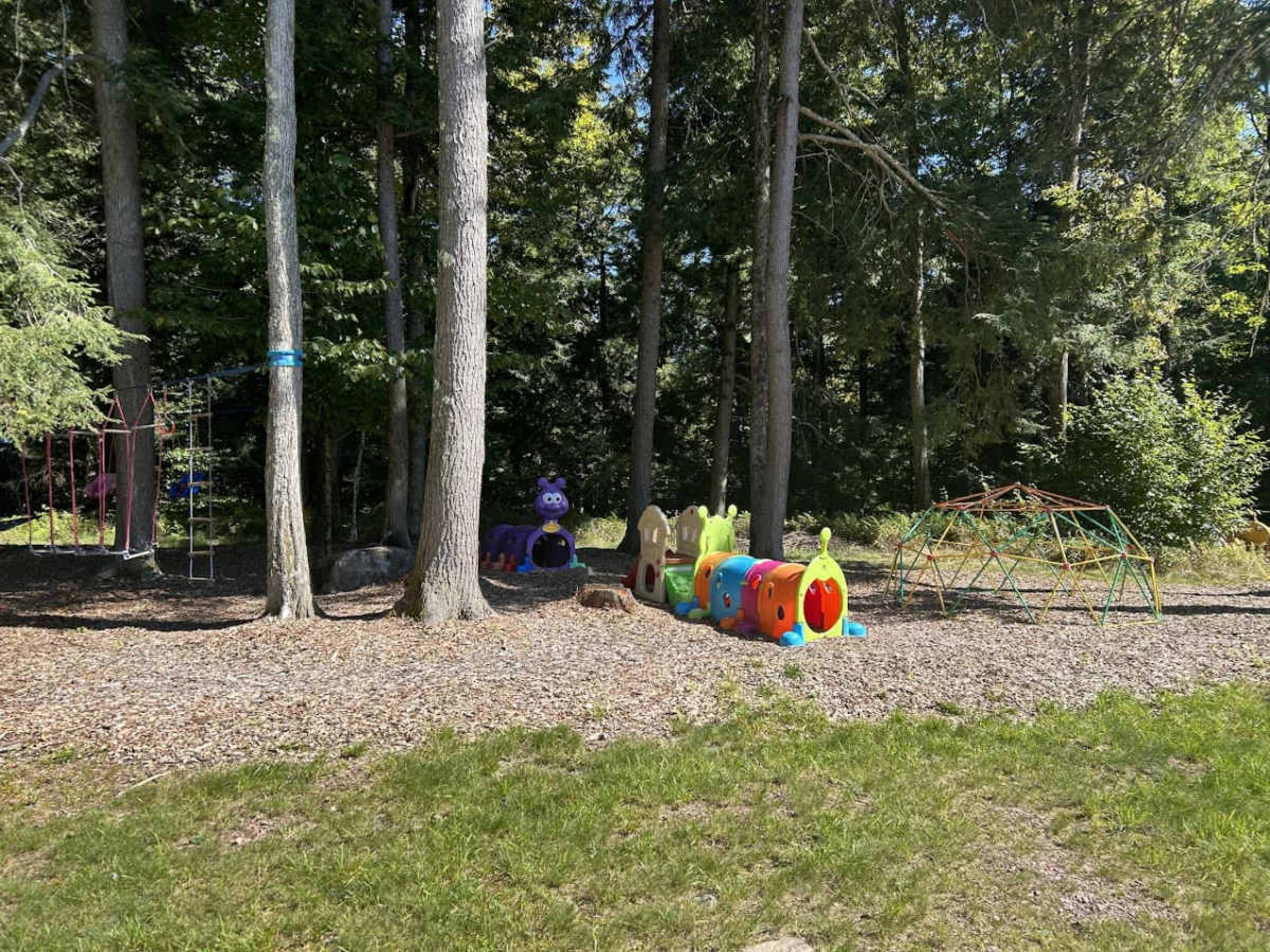 Rural wood area with privacy, recreation space and unique landscape features Image in Bethel, Mongaup Valley, NY