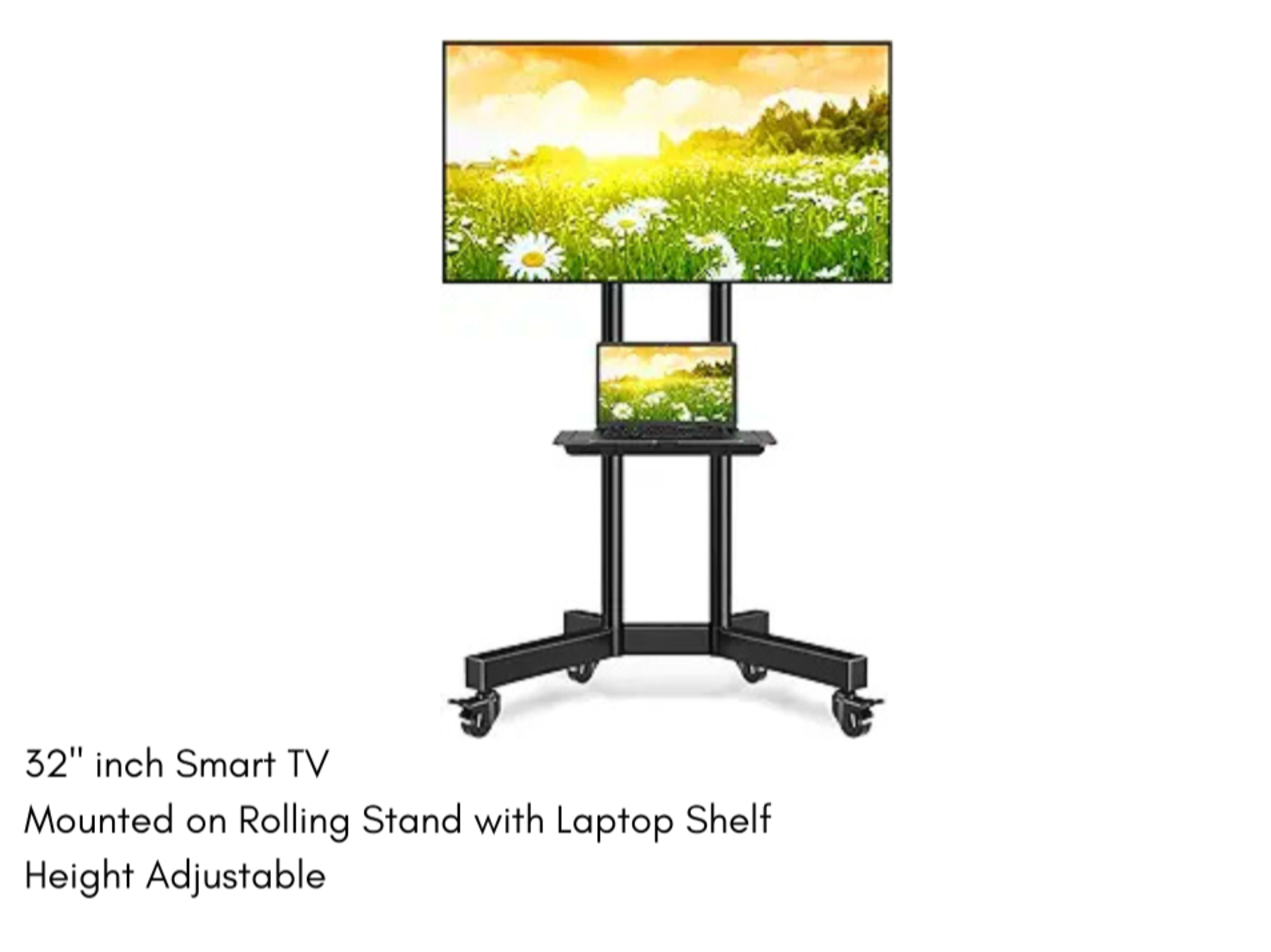 Mounted TV on Rolling Stand