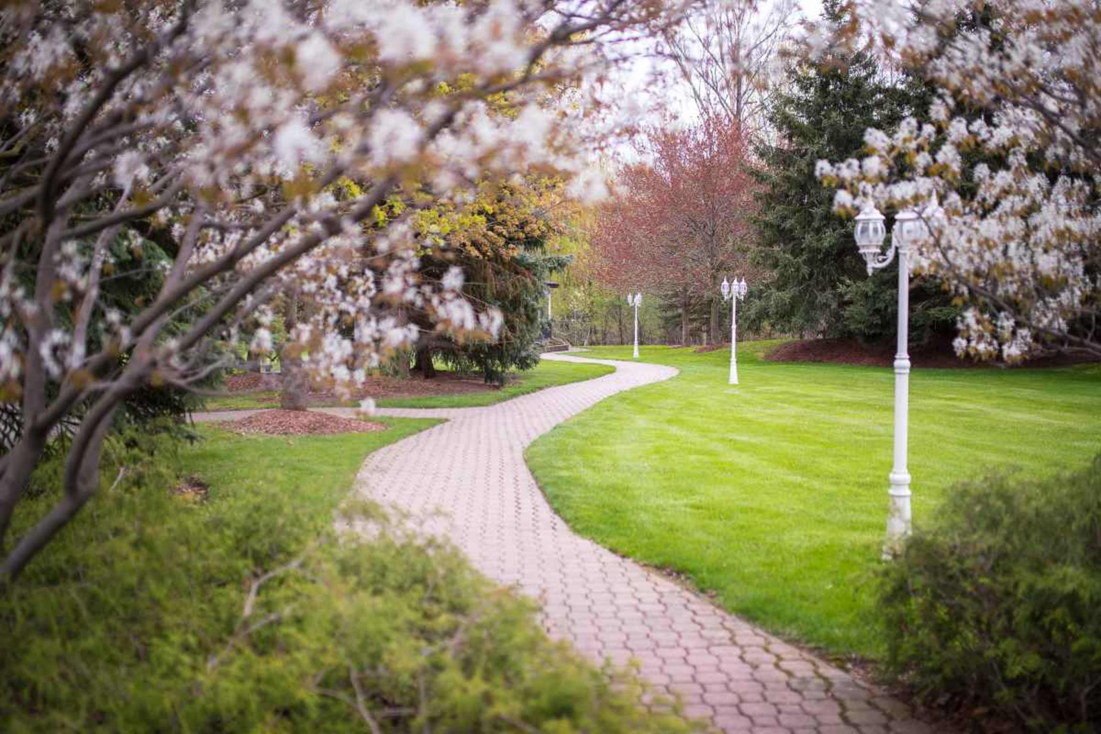 A winding brick path is bordered by flowering trees and lampposts in a landscaped garden.