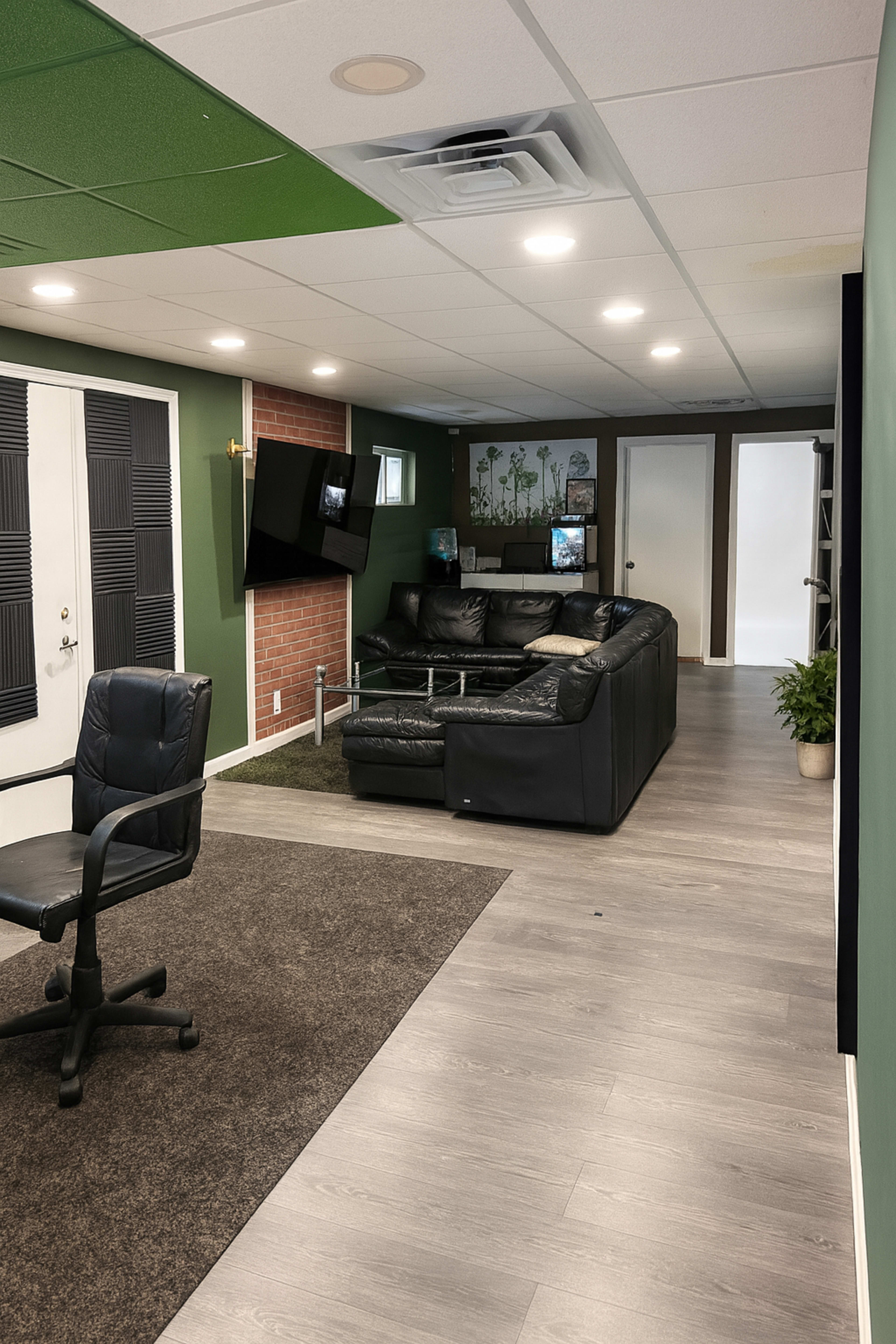 The image shows a modern interior space with a black leather sectional couch, a television mounted on the wall, and green accent walls, featuring a carpeted area and a small plant in the corner.
