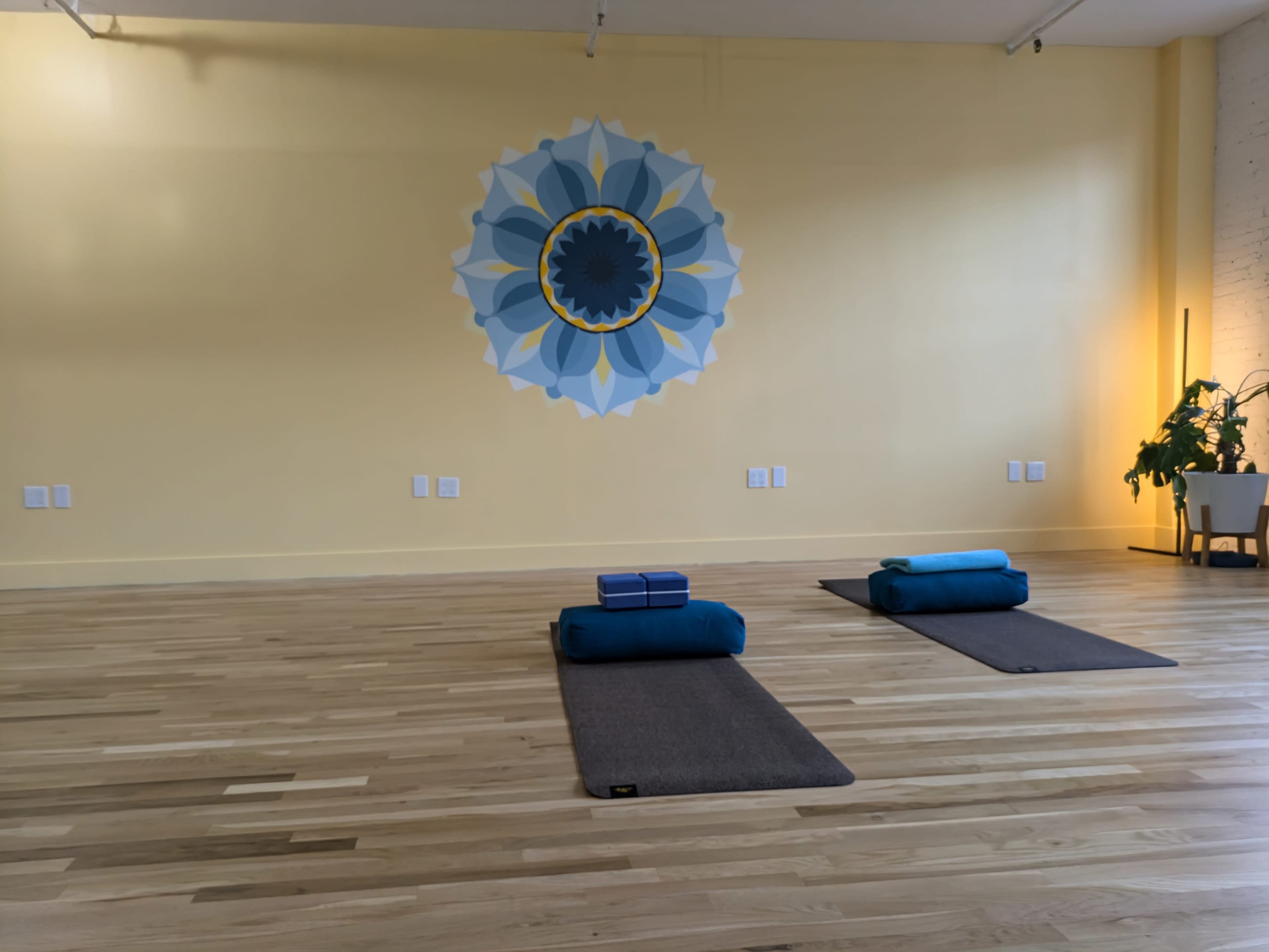 The image shows a serene yoga studio with two yoga mats and bolsters placed on a wooden floor in front of a wall featuring a decorative blue and yellow mandala.