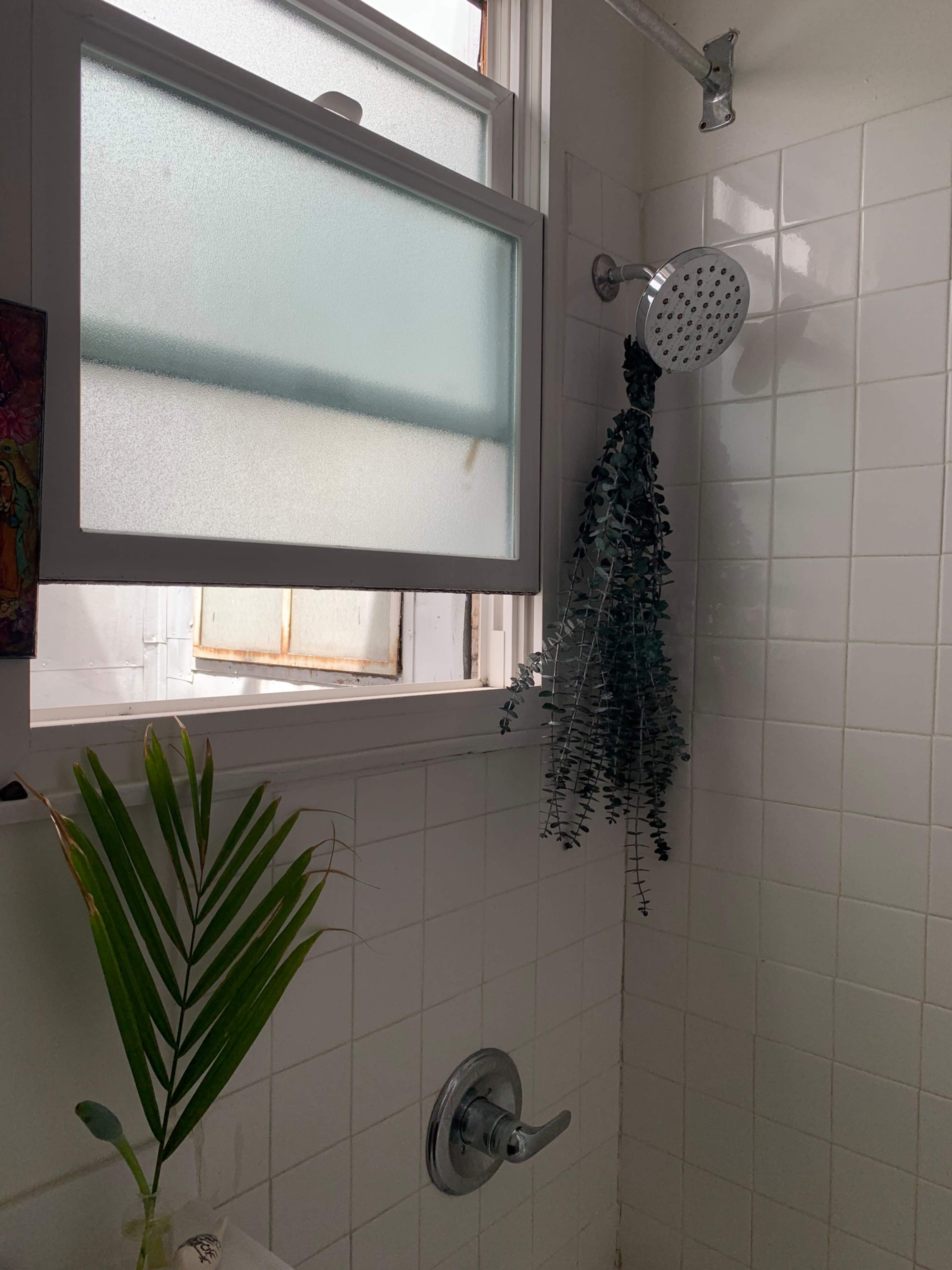 A shower area with white tiled walls, a showerhead, a hanging plant, and a partially open window.