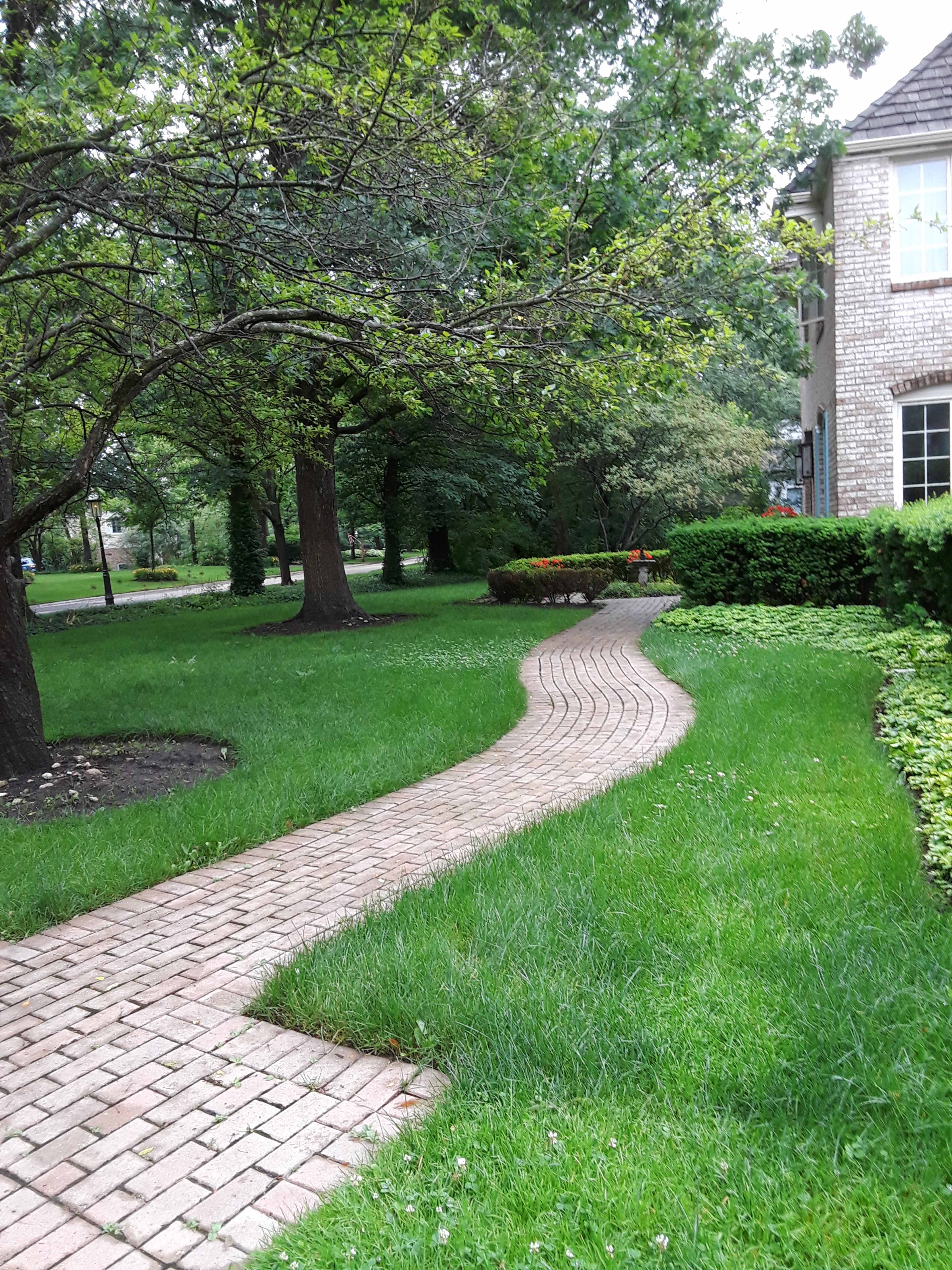 A curved brick pathway winds through a grassy yard bordered by trees and shrubs near a brick building.