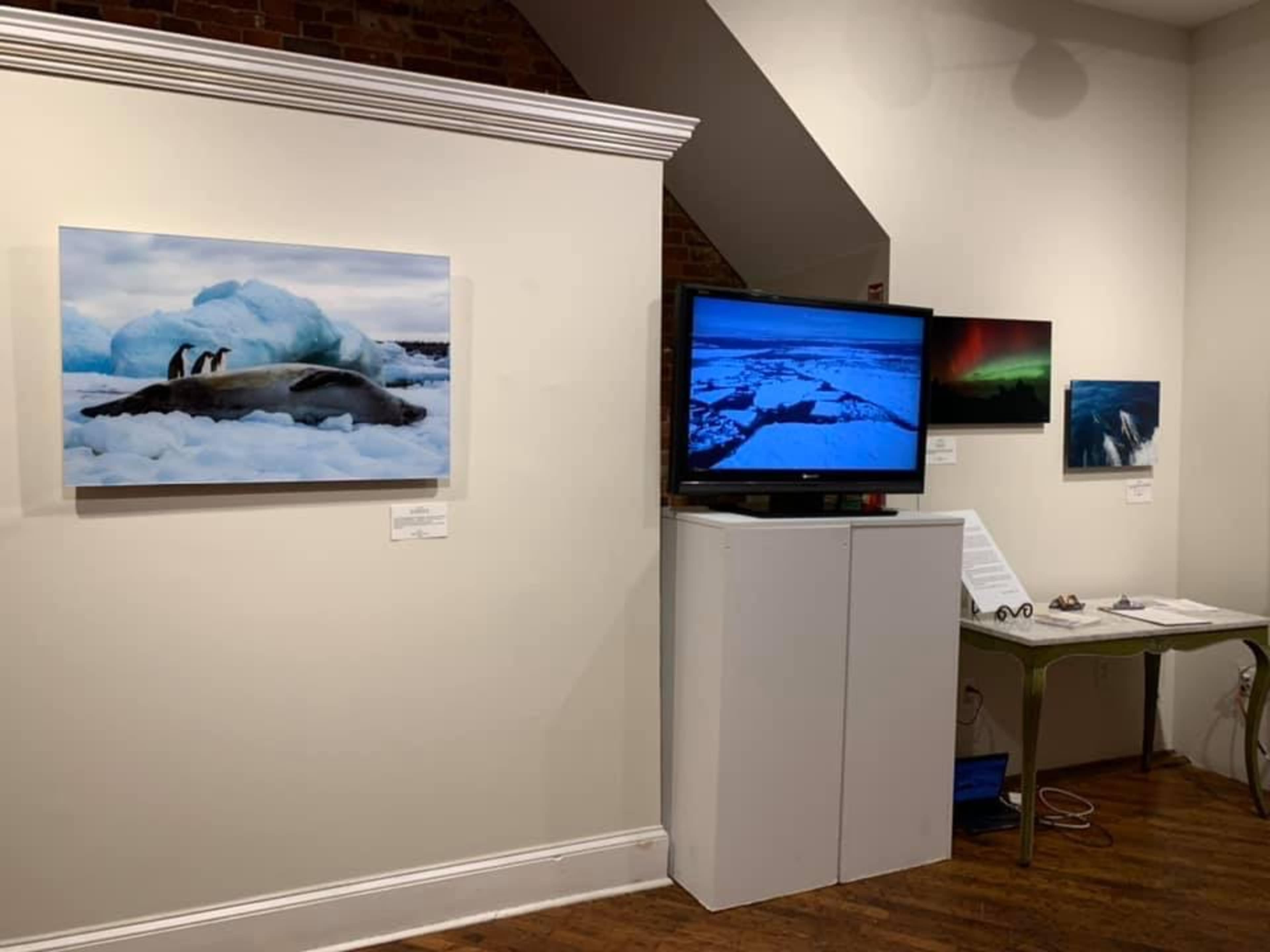 An art gallery featuring a large painting of seals on ice, a television displaying a nature scene, and additional framed images on the wall.
