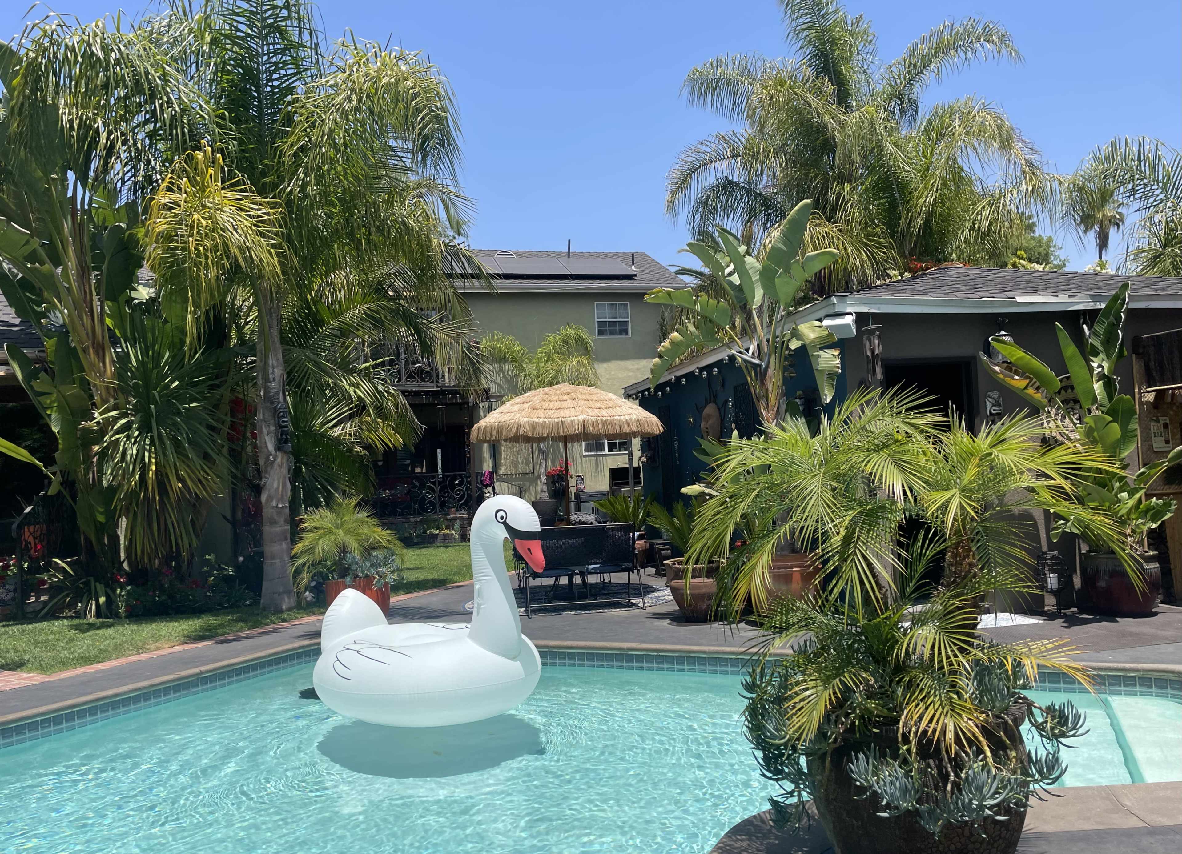 A large inflatable swan floats in a swimming pool surrounded by lush greenery and a thatched-roof gazebo.