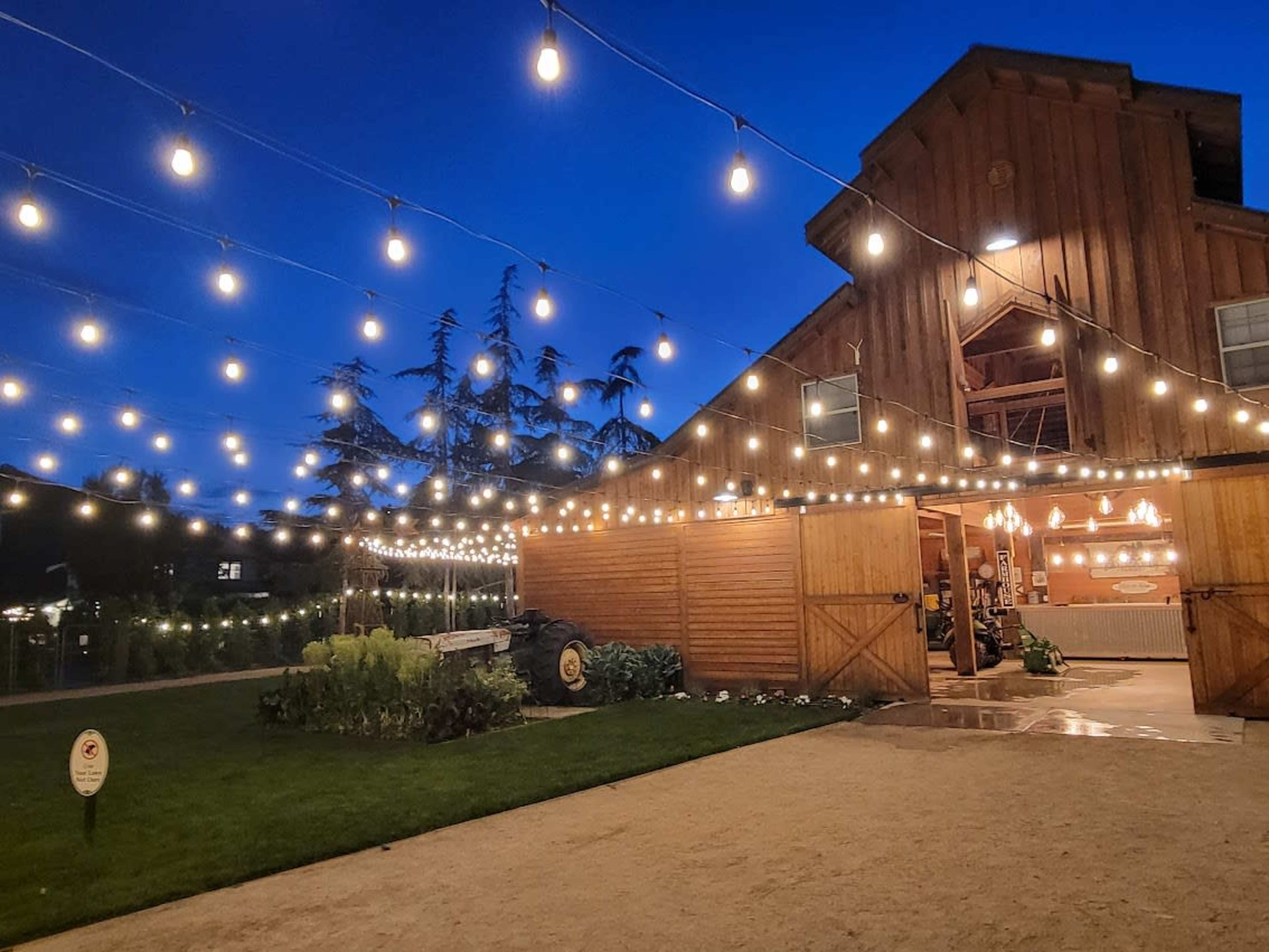 A rustic barn is illuminated by string lights against a twilight sky, with a neatly maintained path and greenery in the foreground.