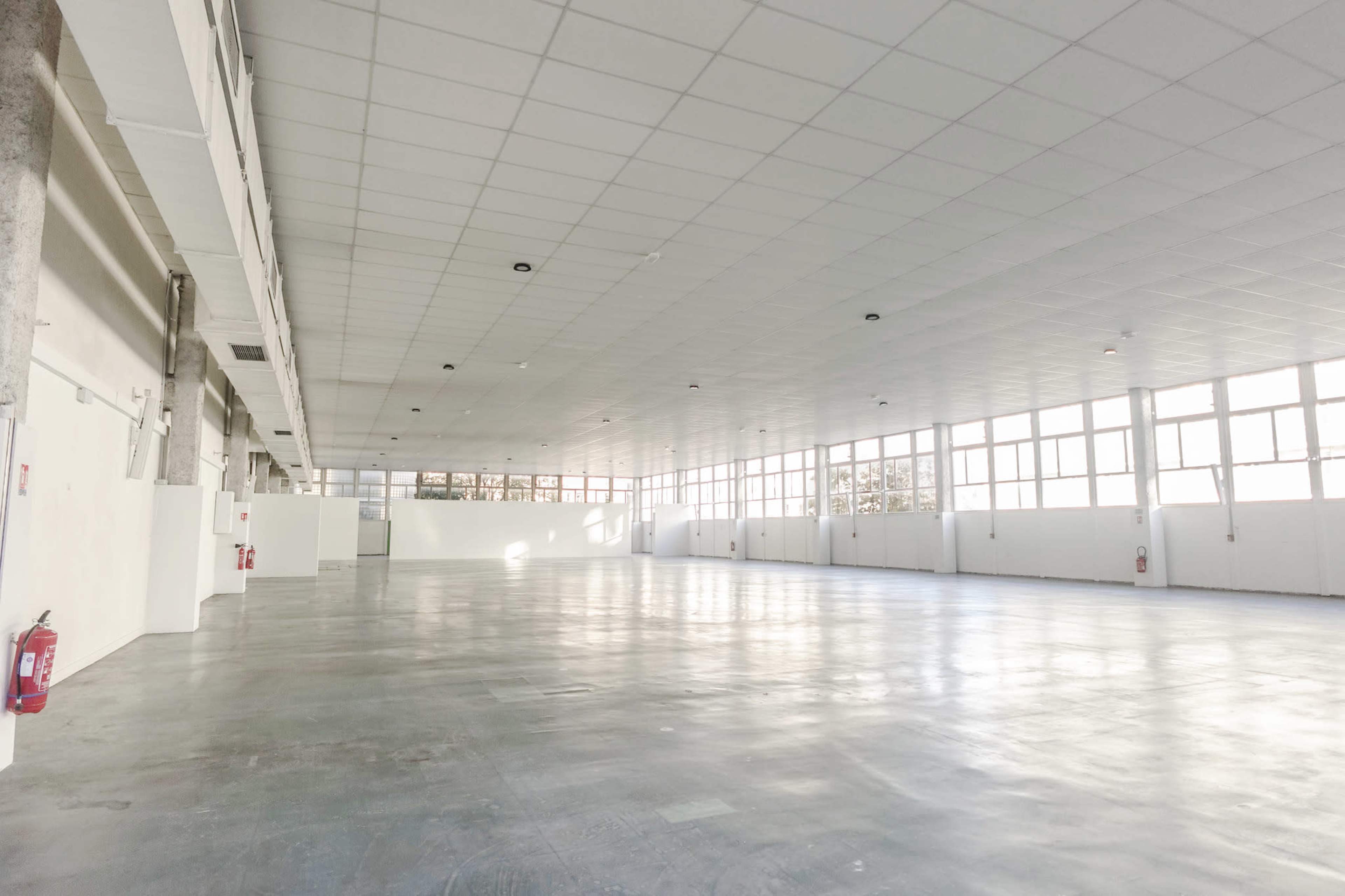 Plateau de 1000 m2 au coeur du 5è arrondissement de Paris Image in Jardin des Plantes, Paris