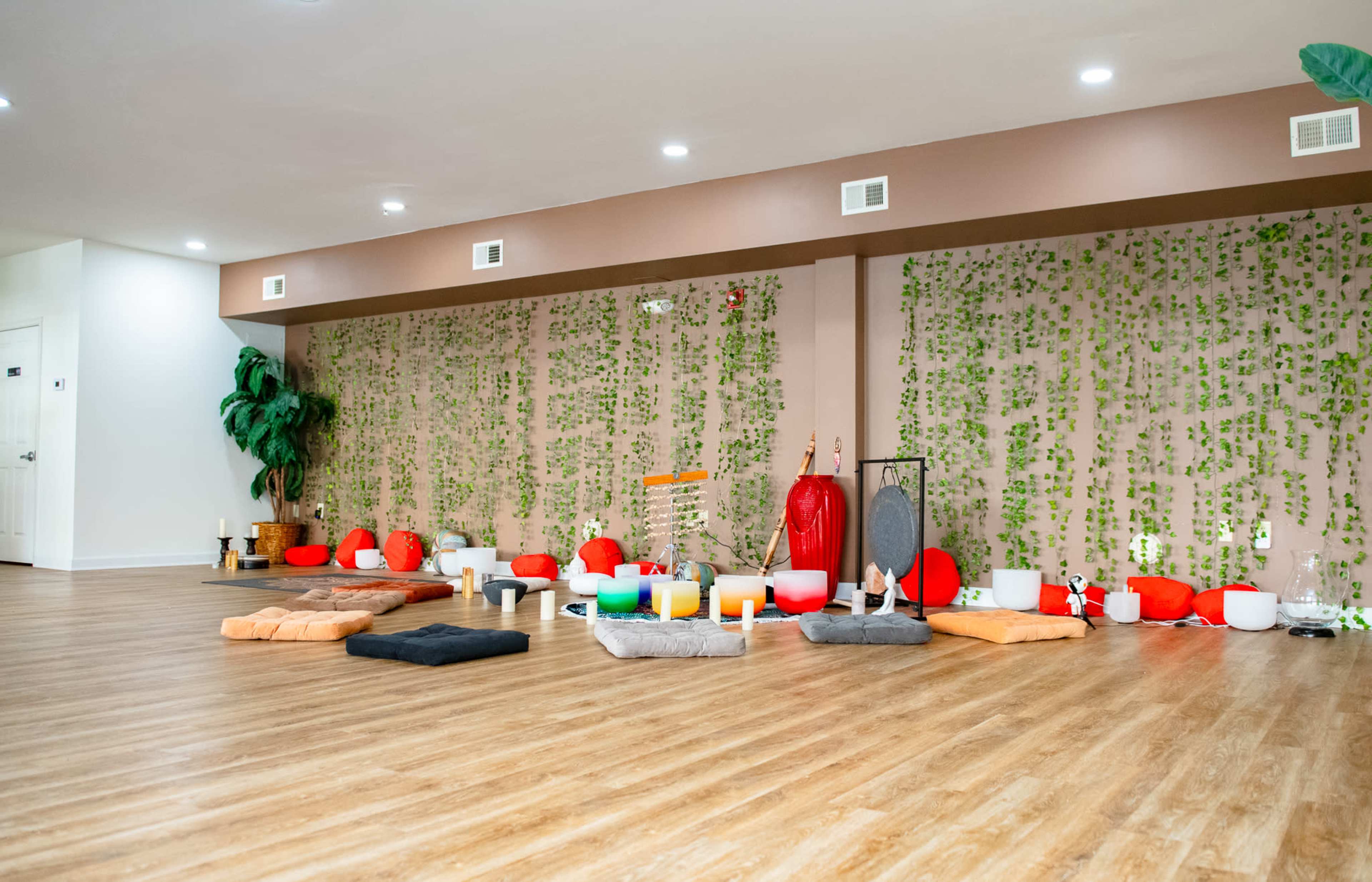 Balance and Bliss Studio: A Sanctuary   for Wellness Image in Downtown, Norfolk, VA